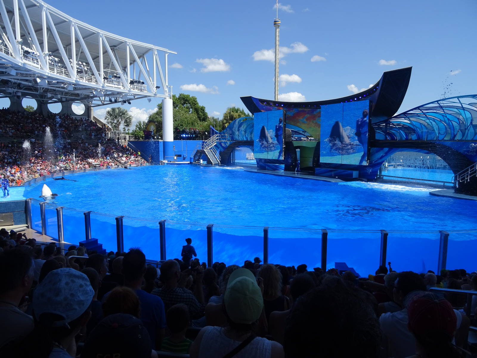 Shamu Stadium at SeaWorld Orlando
