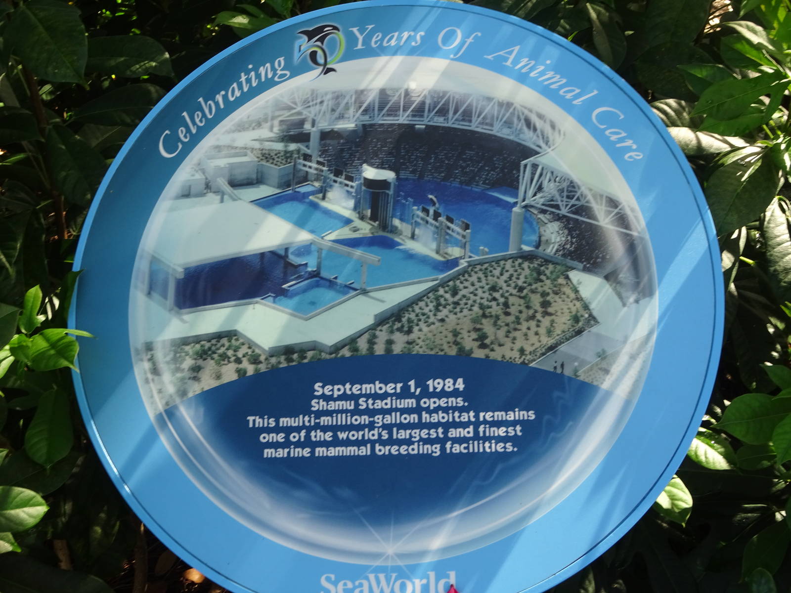 Shamu Stadium Layout Circa 1984 at SeaWorld Orlando