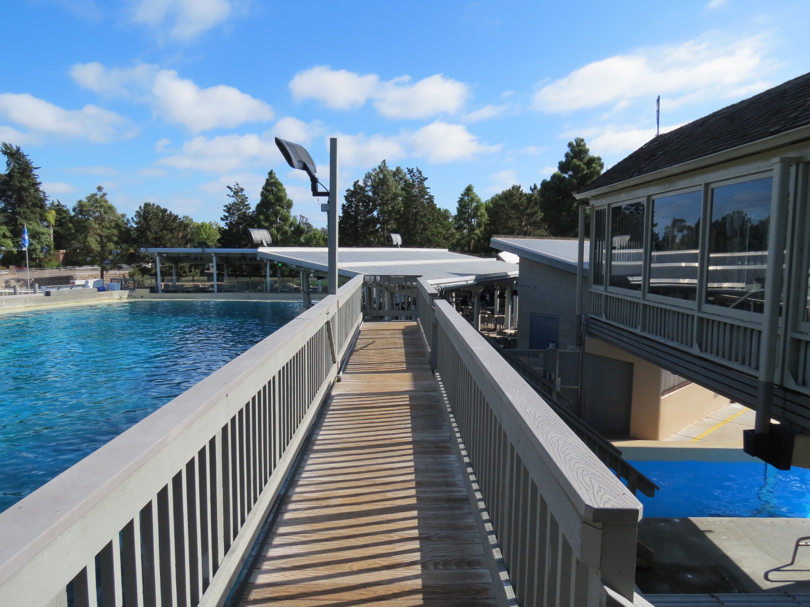 Shamu Stadium - One Ocean Show - Dine With Shamu