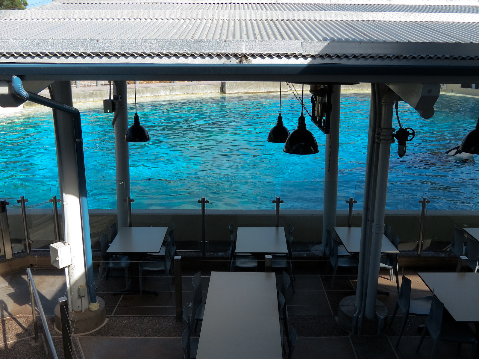 Shamu Stadium - One Ocean Show - Dine With Shamu