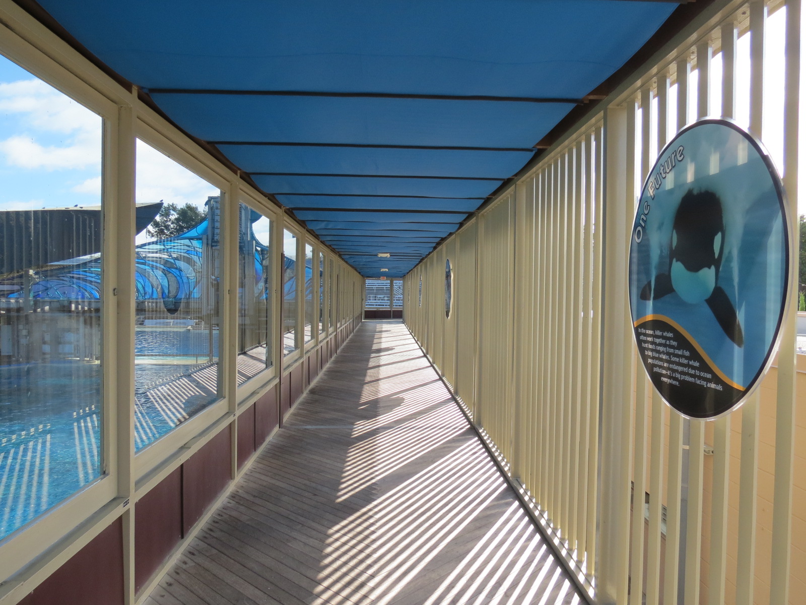 Shamu Stadium - One Ocean Show - Holding Tank Viewing Walkway