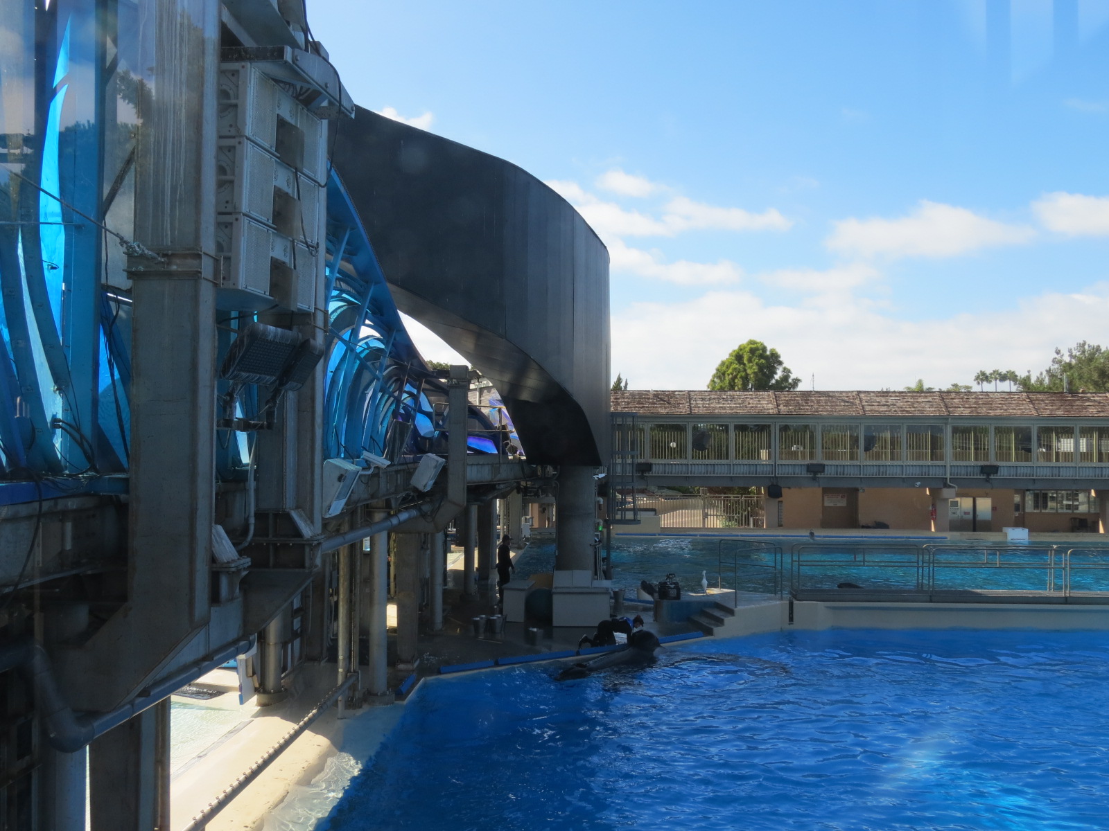 Shamu Stadium - One Ocean Show - Holding Tanks