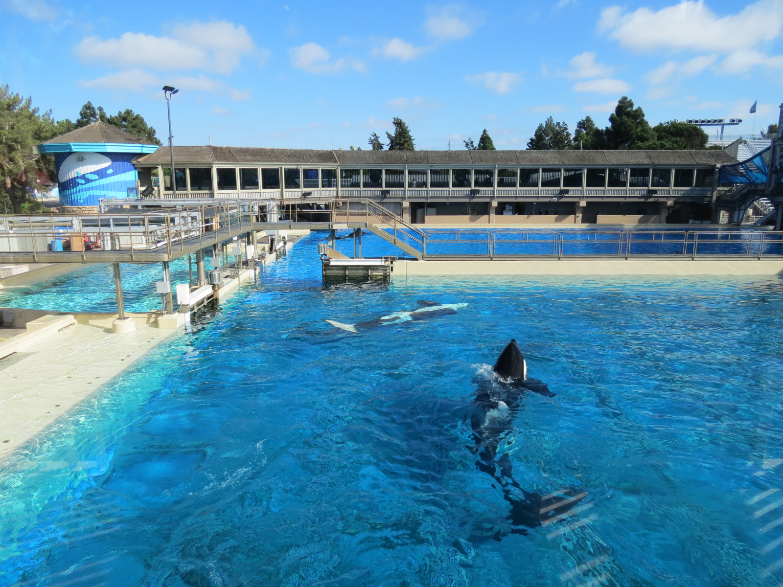 Shamu Stadium - One Ocean Show - Holding Tanks