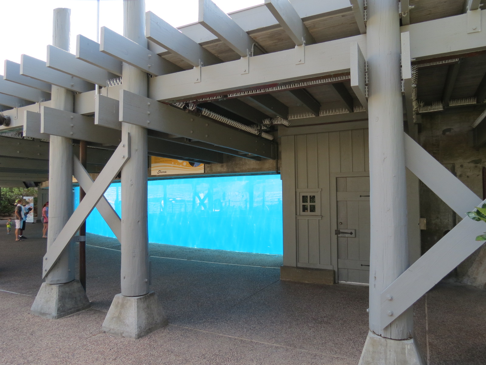 Shamu Stadium - One Ocean Show - Shamus Underwater Viewing