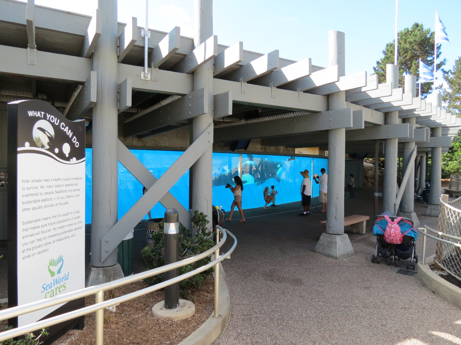Shamu Stadium - One Ocean Show - Shamus Underwater Viewing