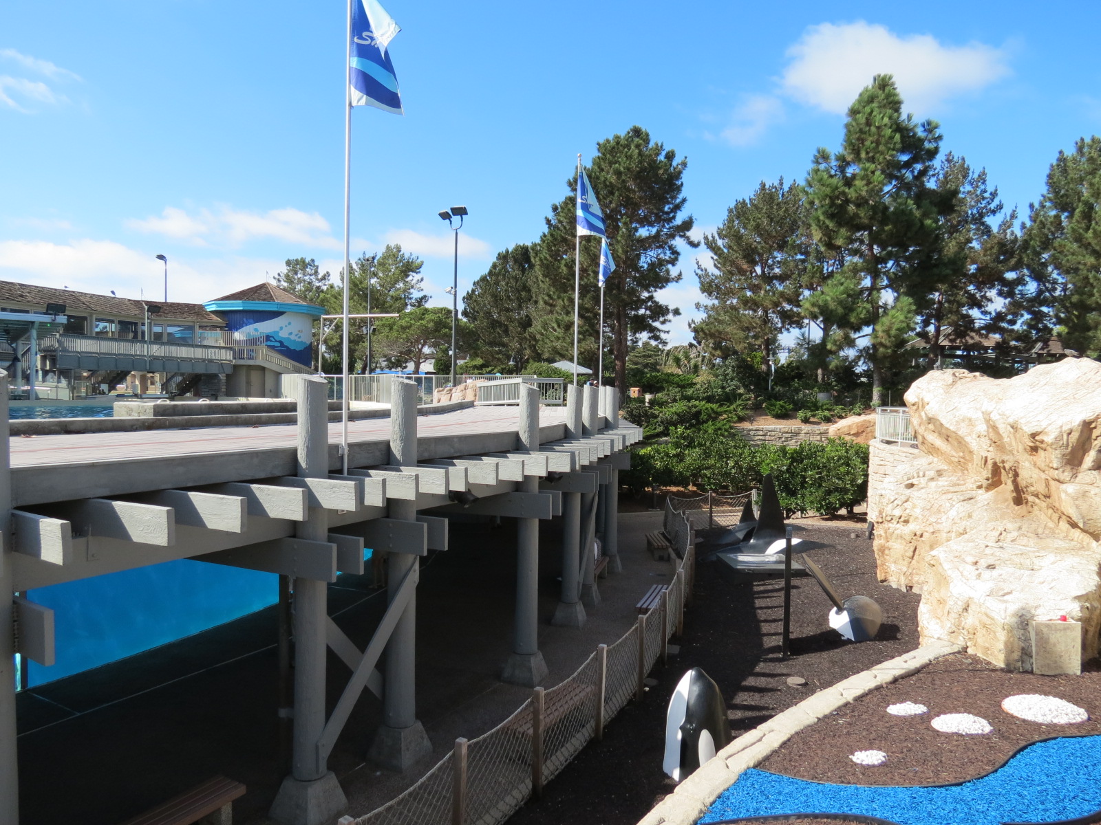 Shamu Stadium - One Ocean Show - Shamus Underwater Viewing