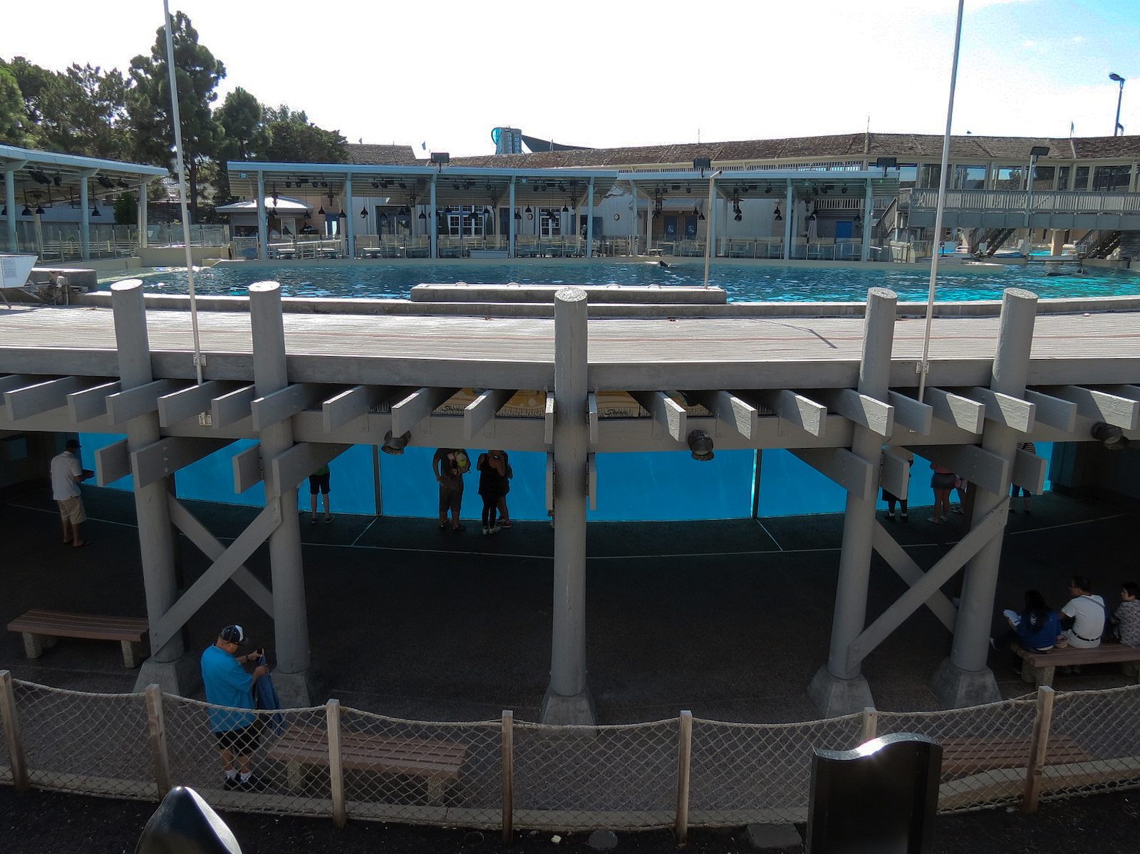 Shamu Stadium - One Ocean Show - Shamus Underwater Viewing