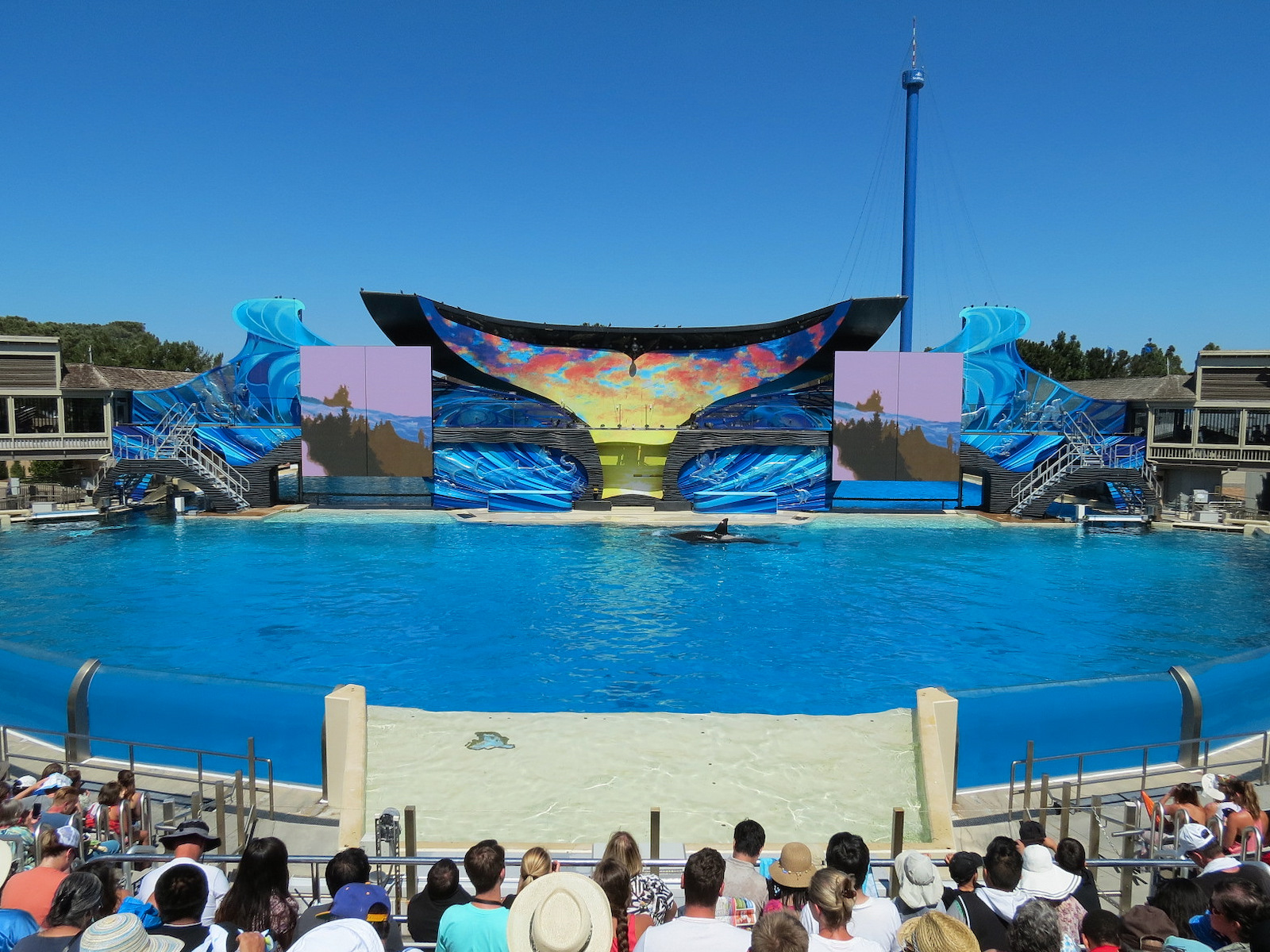 Shamu Stadium - One Ocean Show