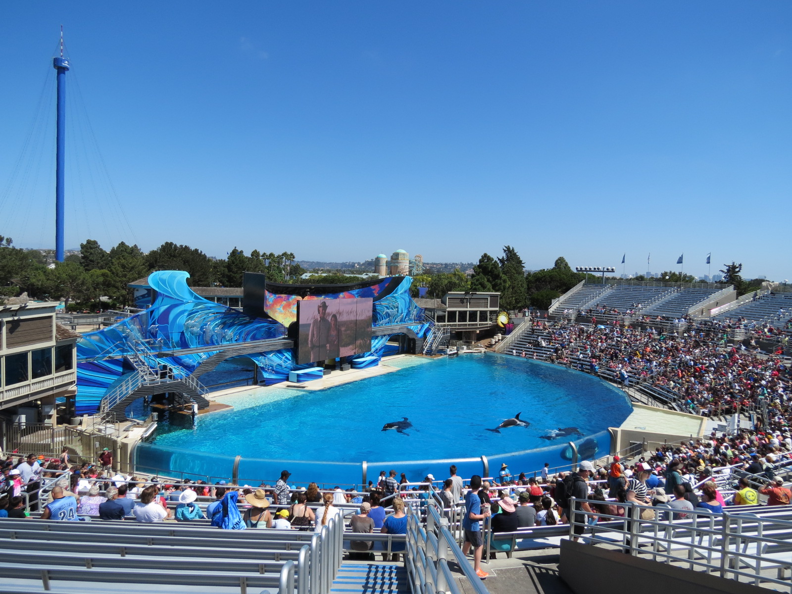 Shamu Stadium - One Ocean Show