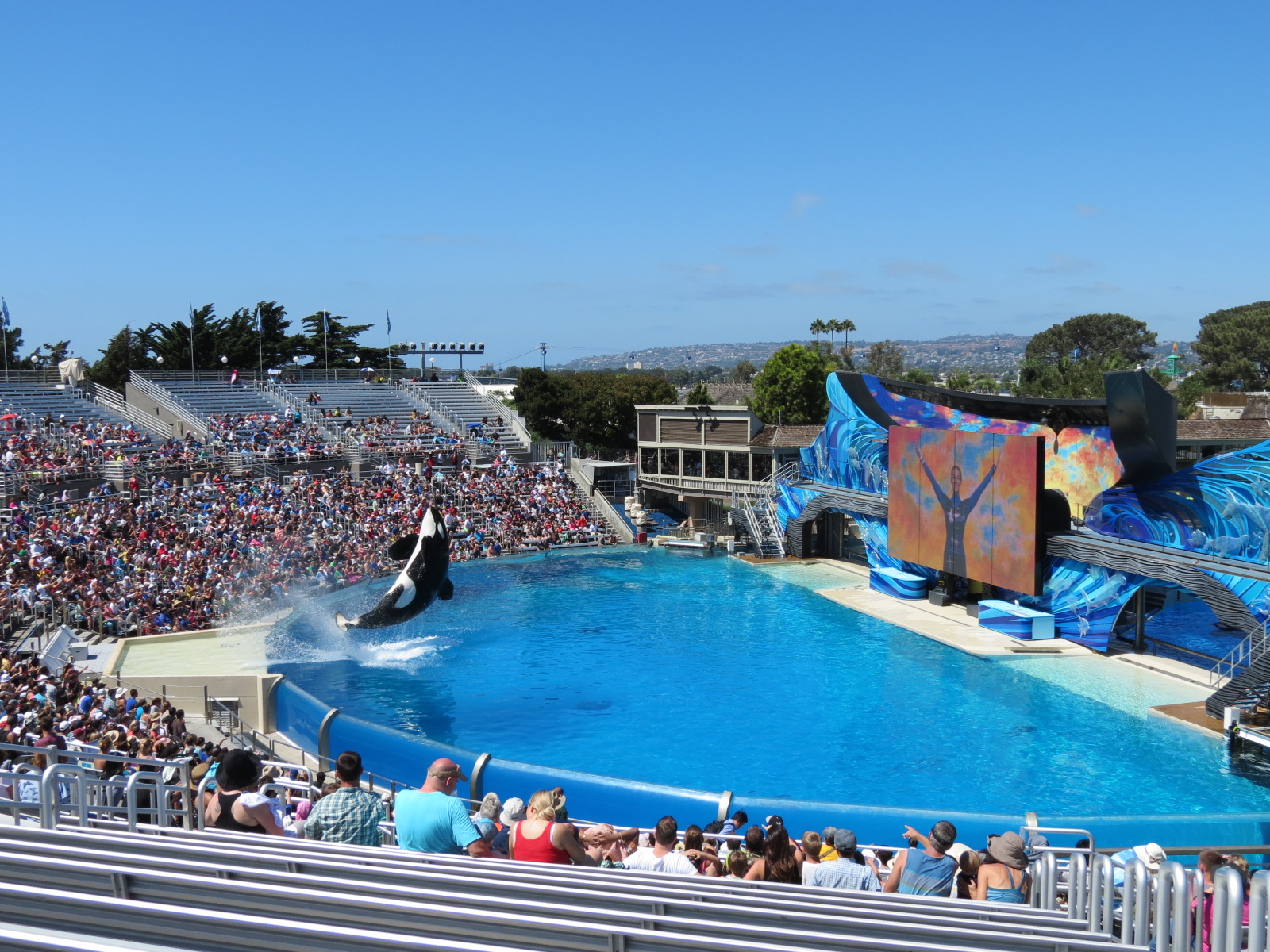 Shamu Stadium - One Ocean Show