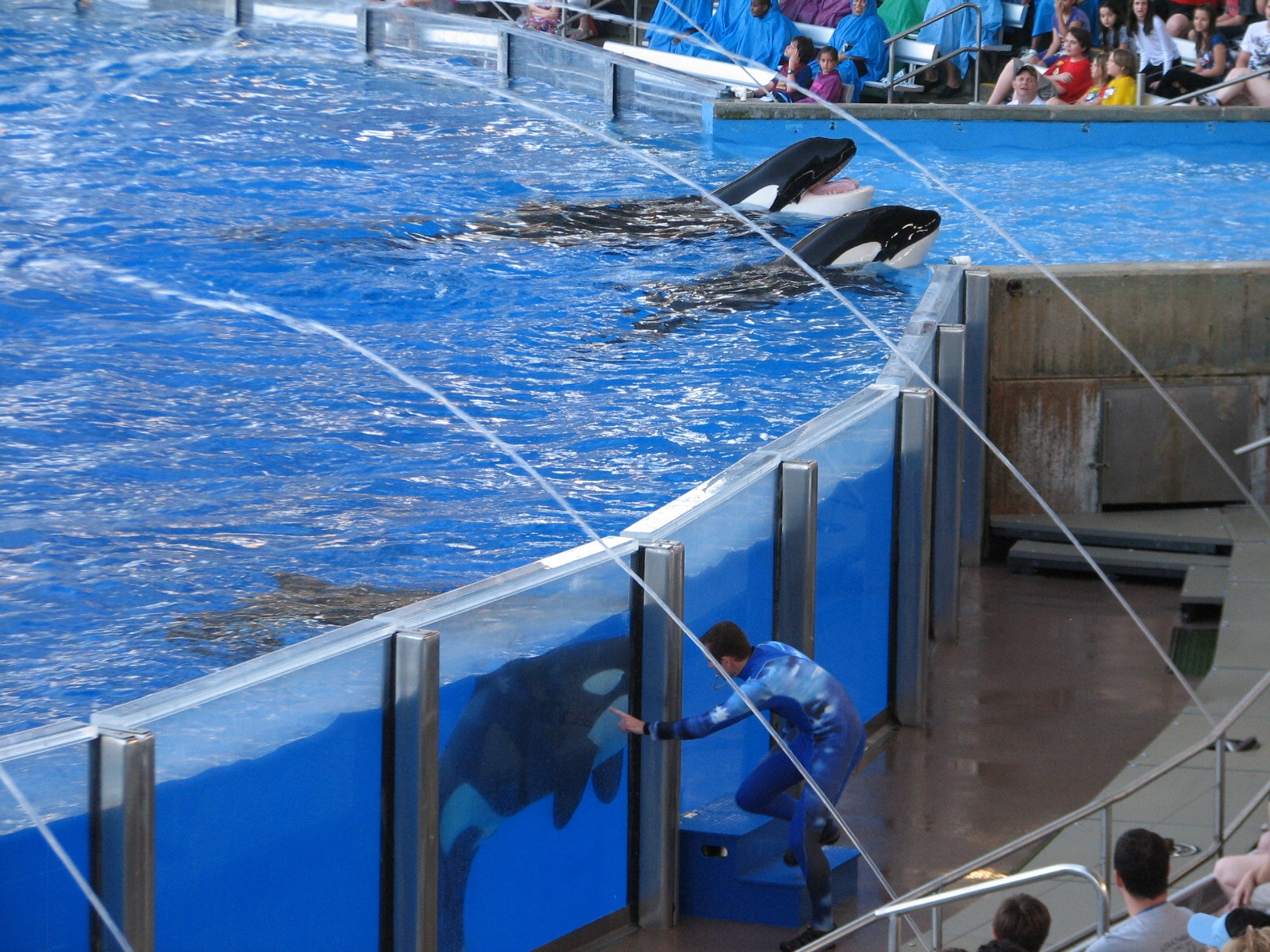 Shamu Stadium - One Ocean