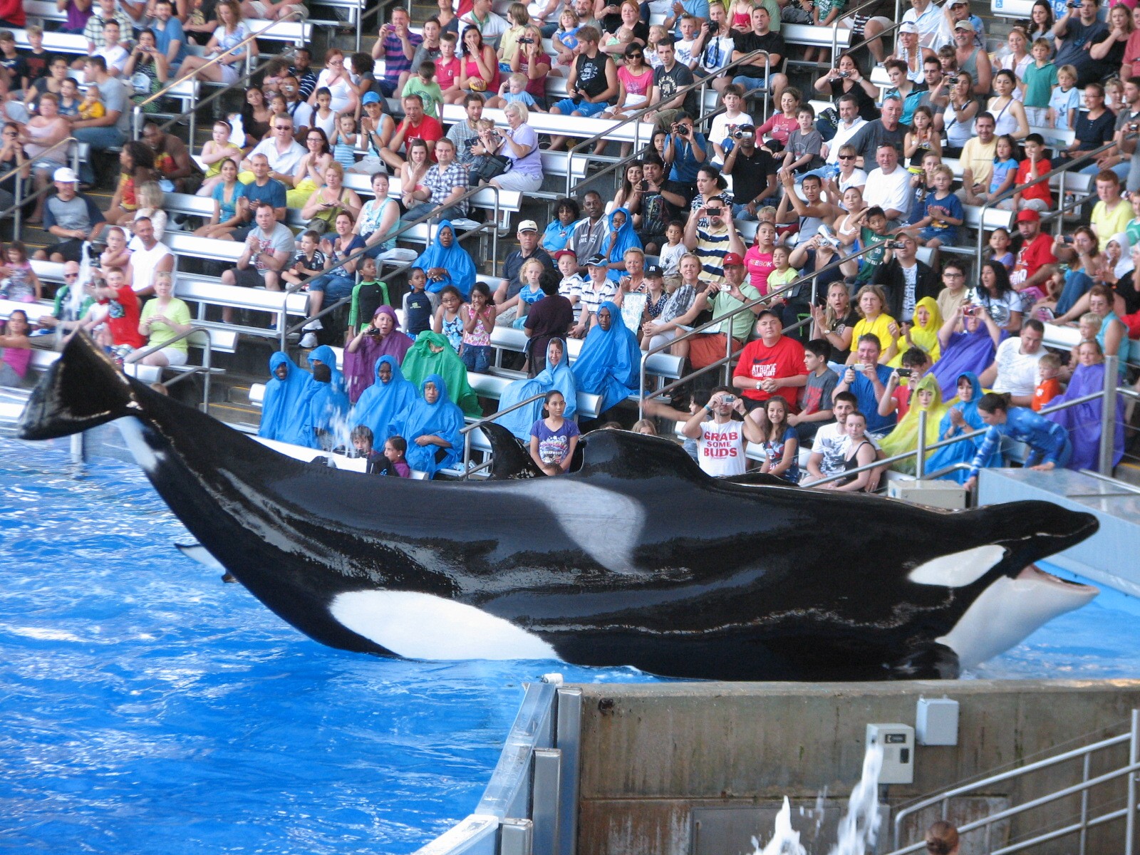 Shamu Stadium - One Ocean