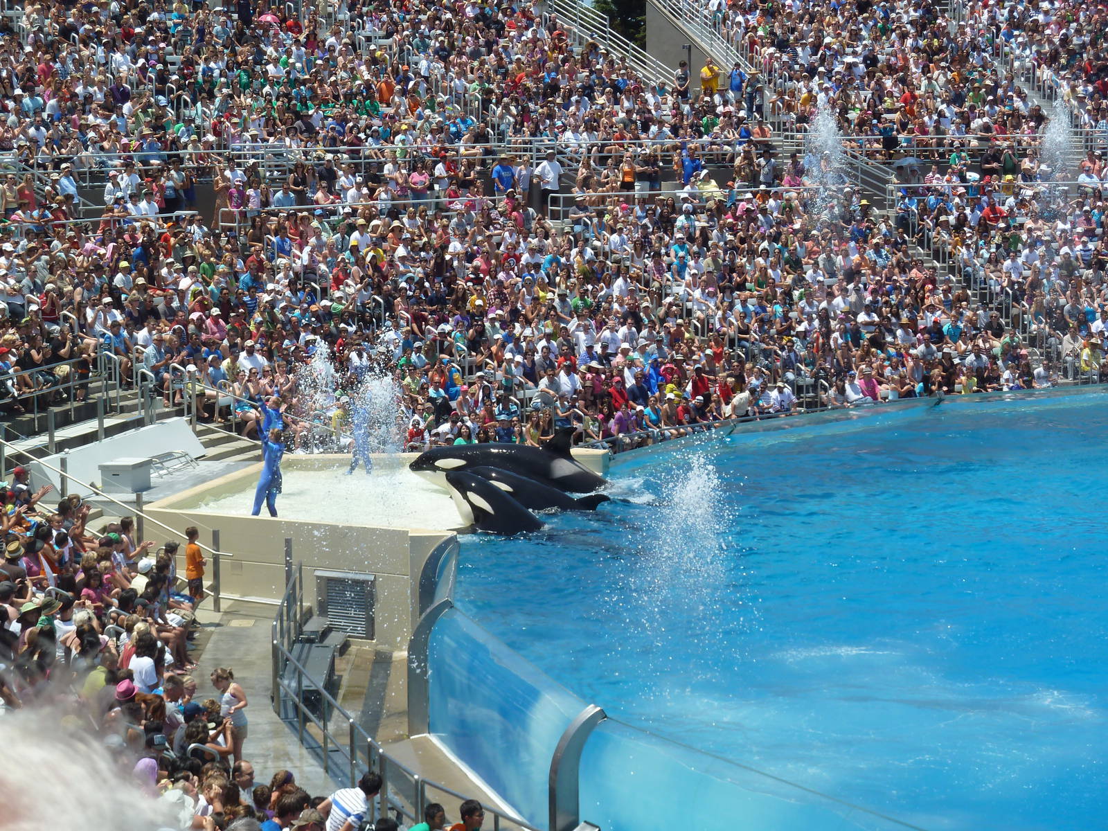 Shamu Stadium