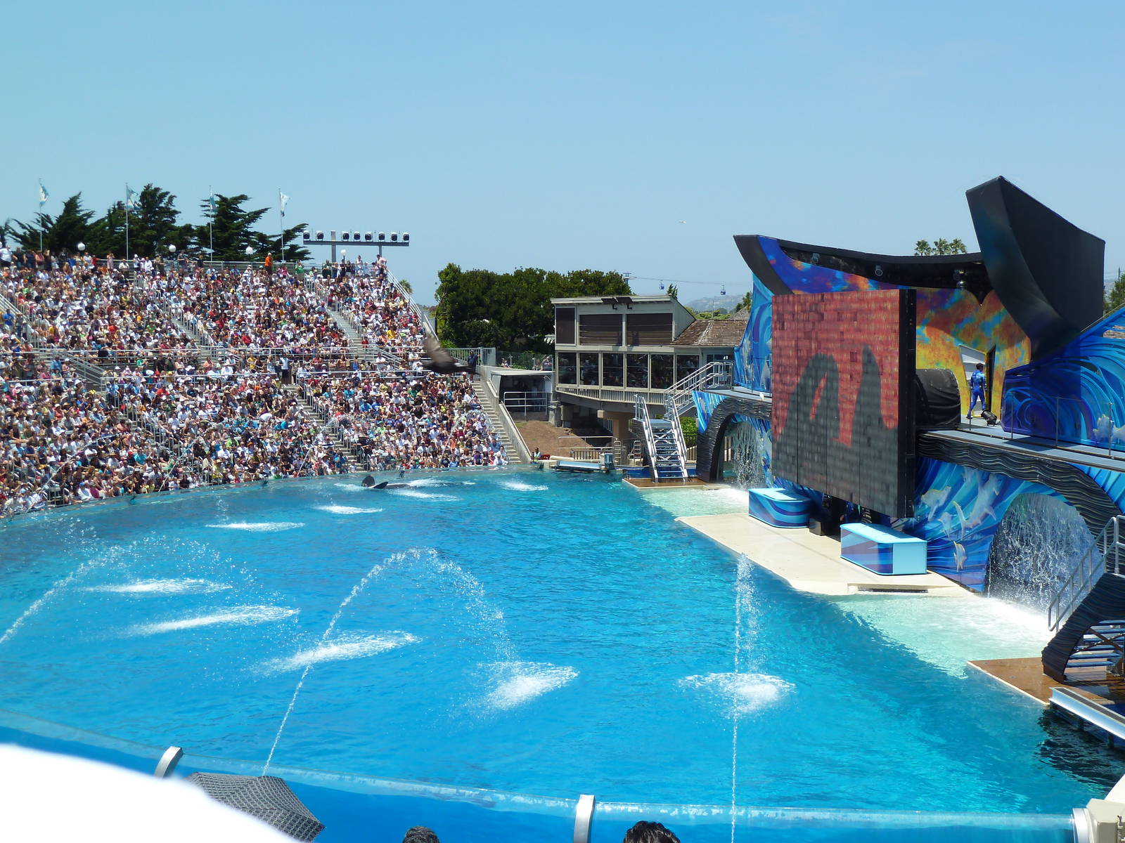 Shamu Stadium