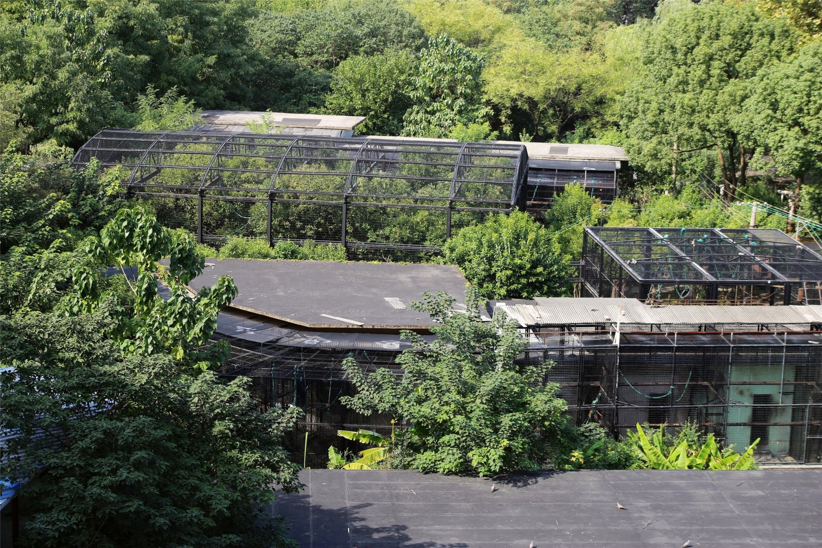 Shanghai Zoo Breeding Center-Bird's Eye View