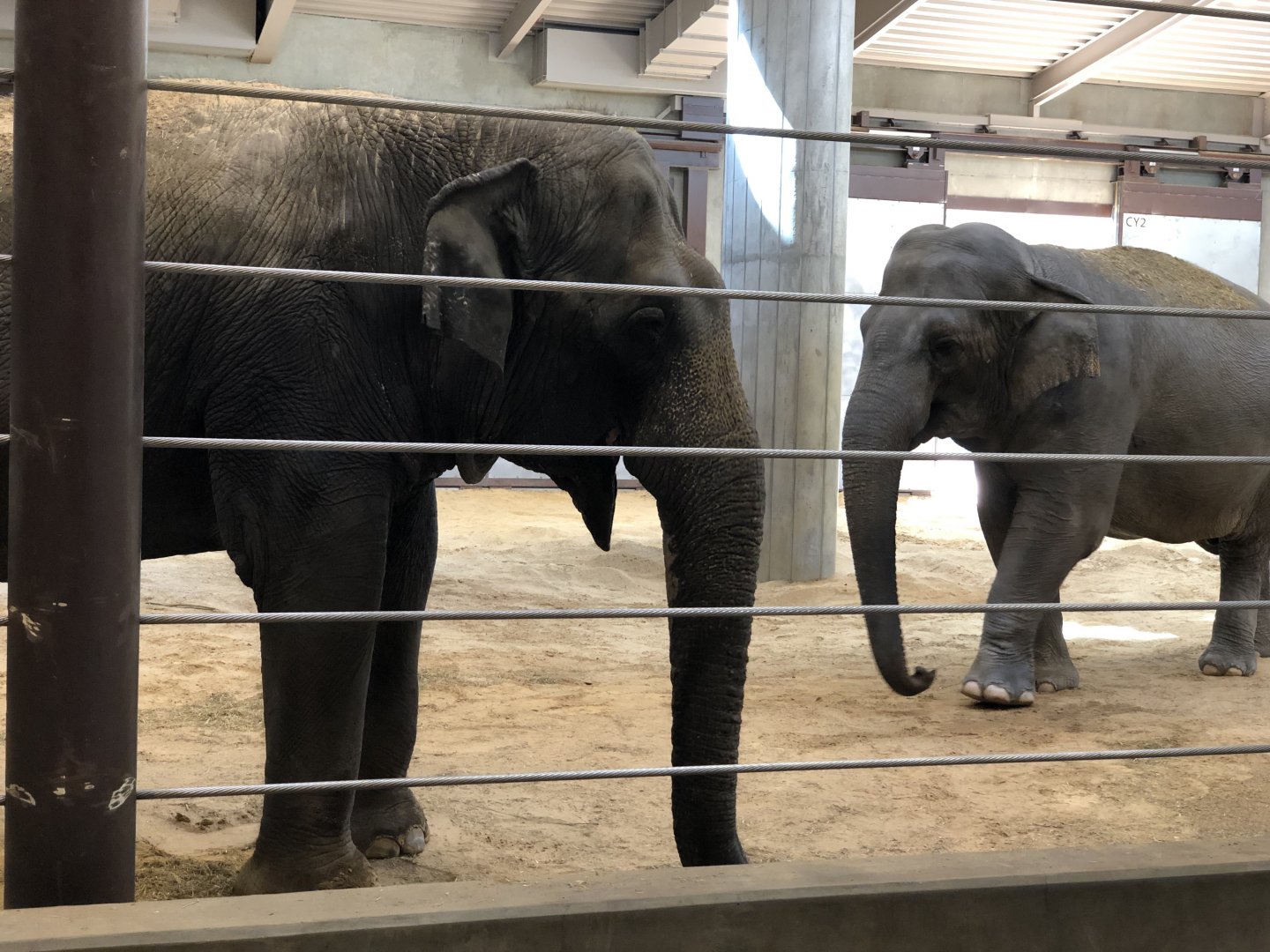 Shanthi and Bozie in ECC before Covid shut down