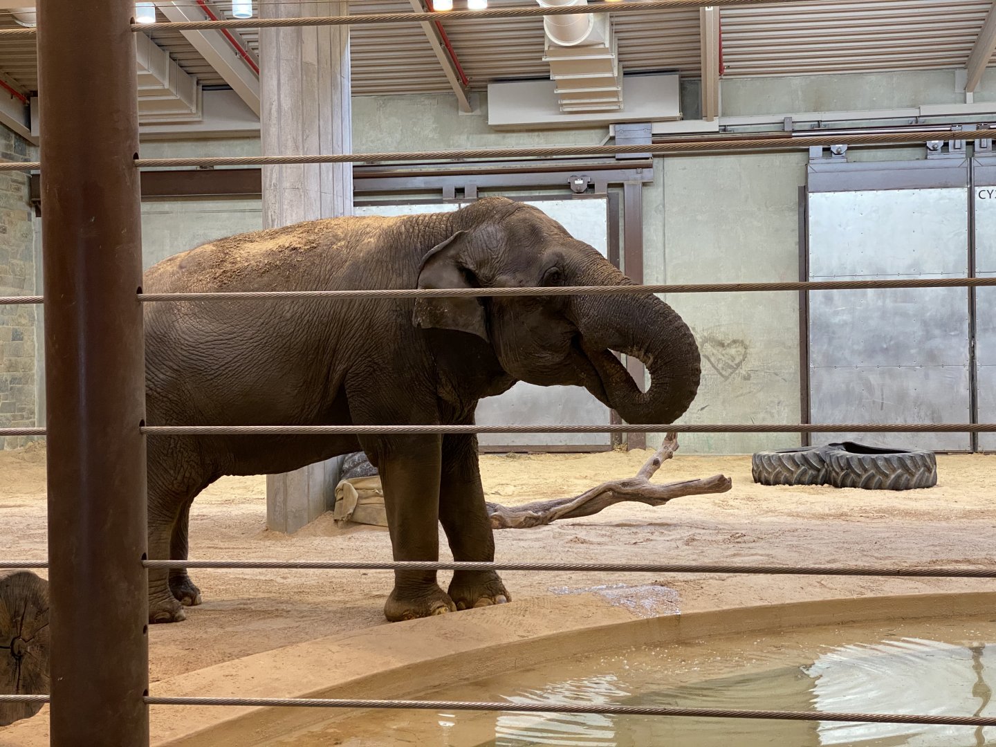 Shanthi in the ECC pre Covid shut down