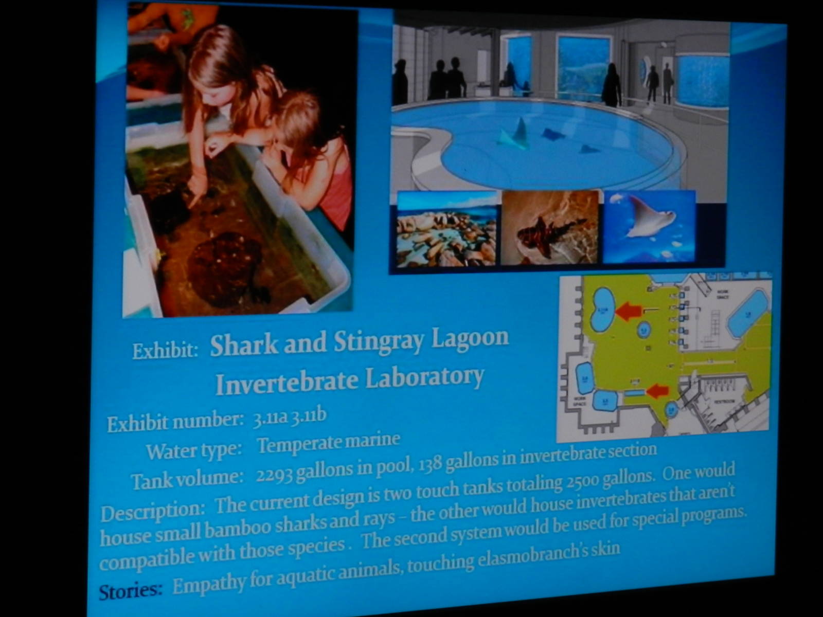 Shark and Stingray Lagoon