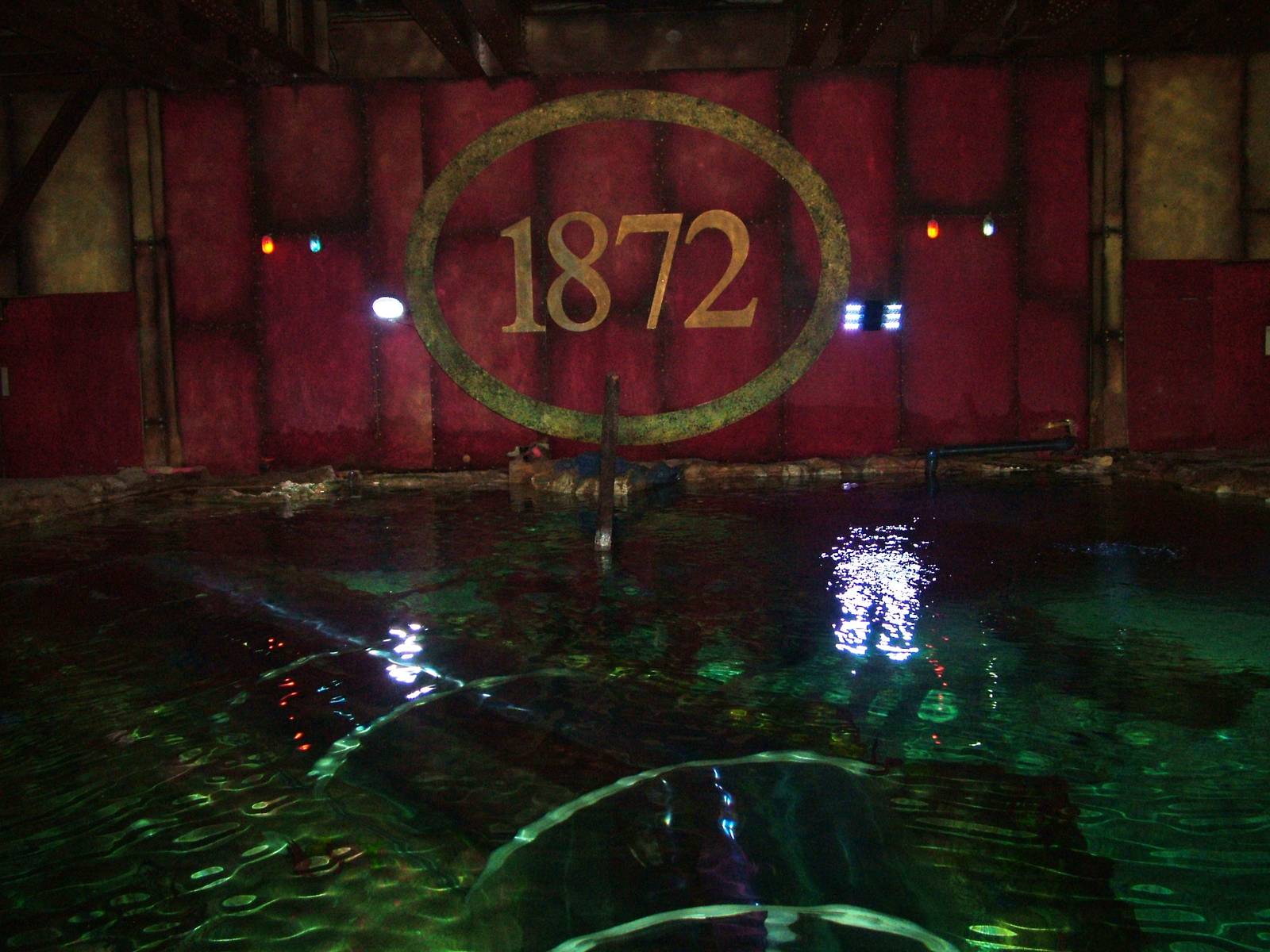 Shark and Turtle Tank/former Dolphinarium at Brighton SeaLife Centre 13/03/