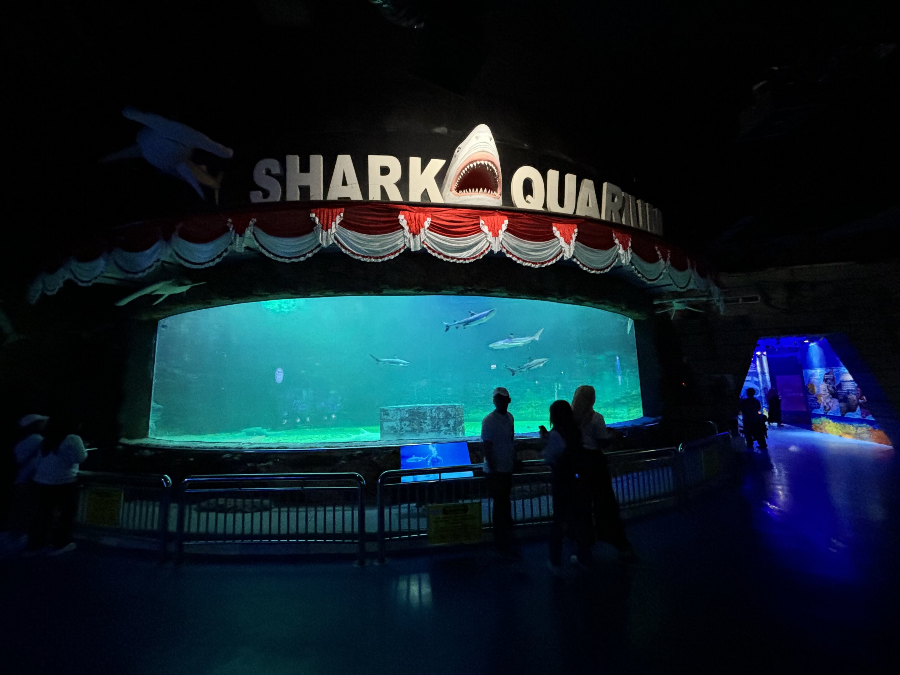 Shark Aquarium (2 species)