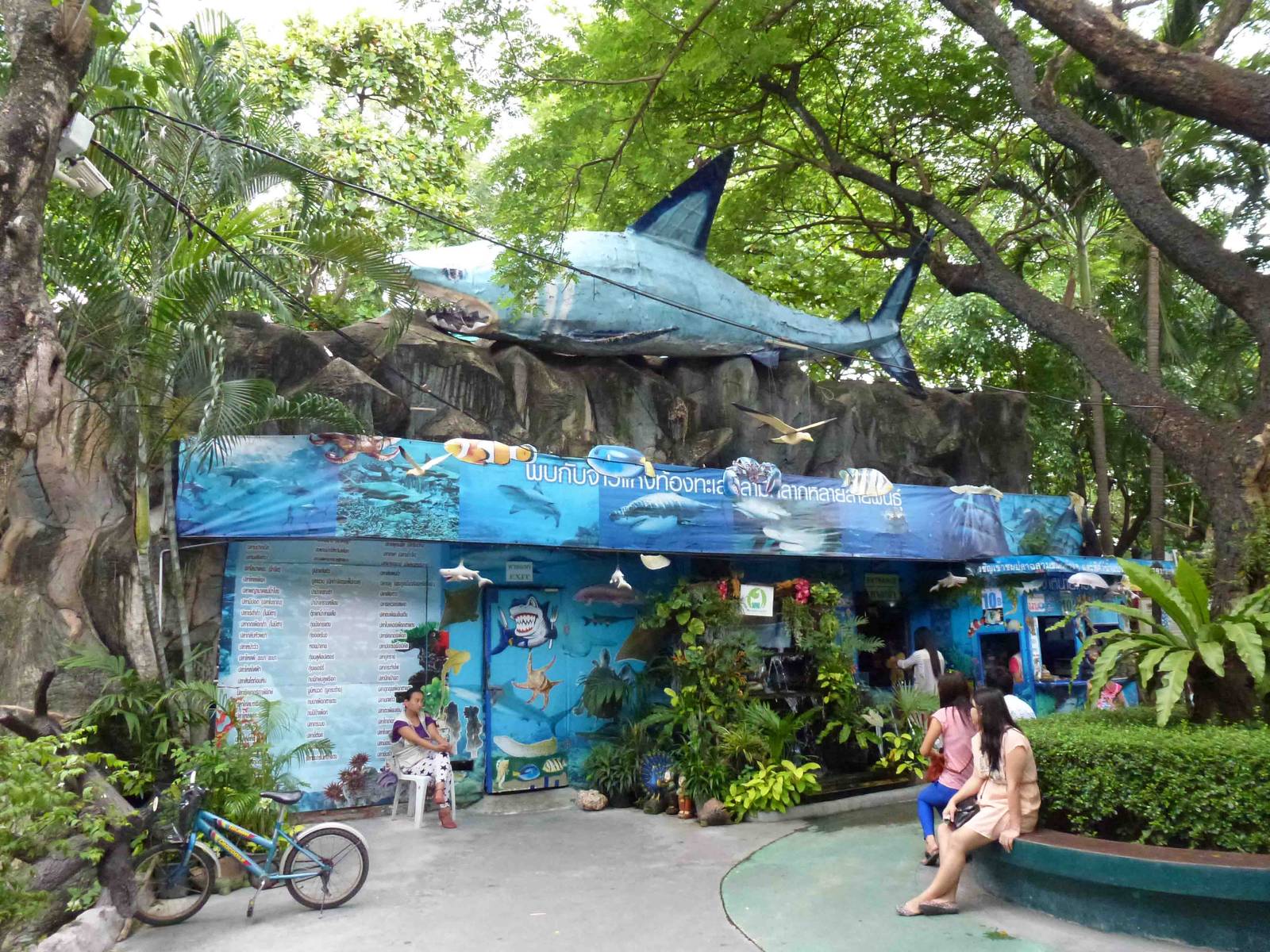 Shark aquarium, July 2013.
