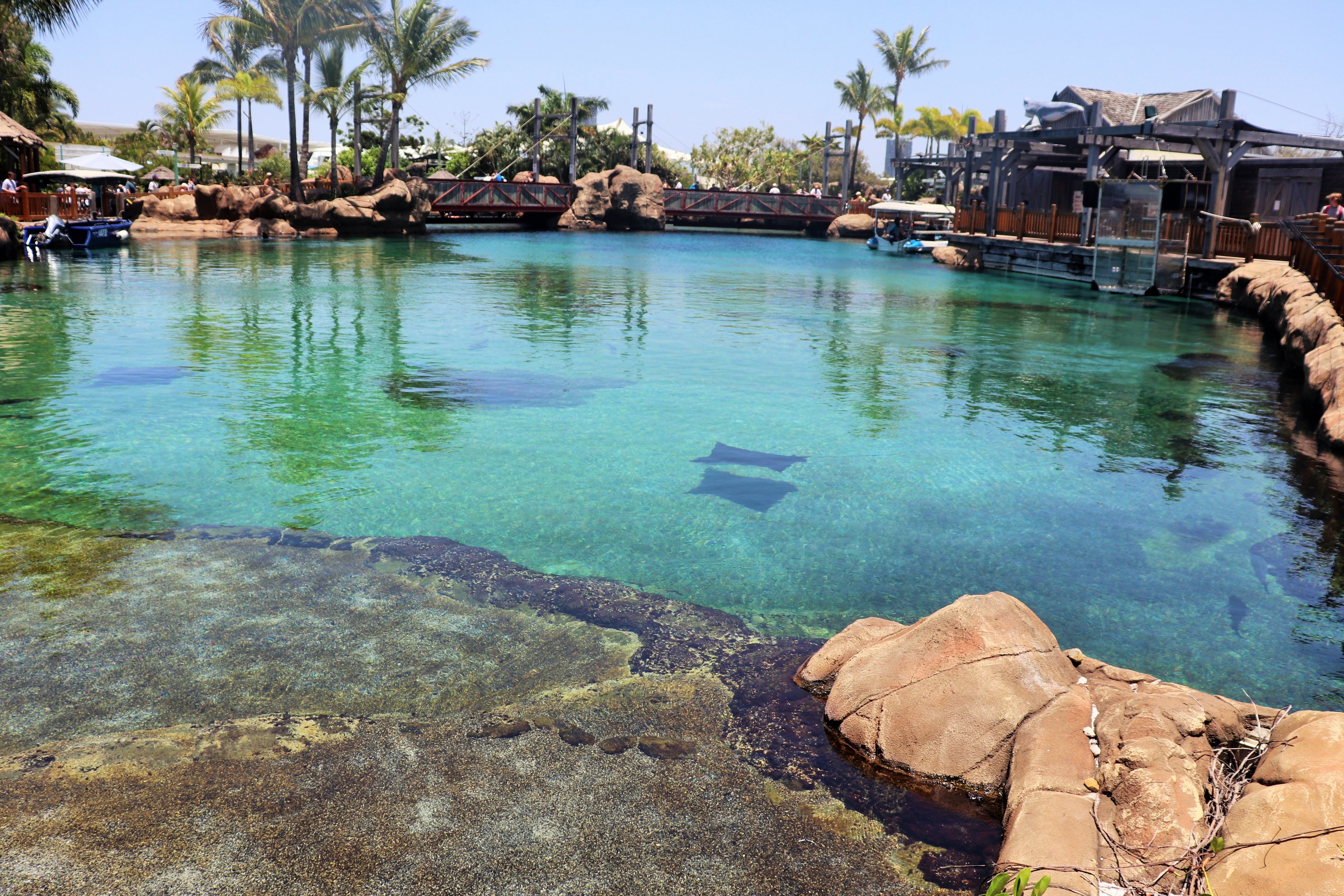 Shark Bay - Outdoor Viewing Area