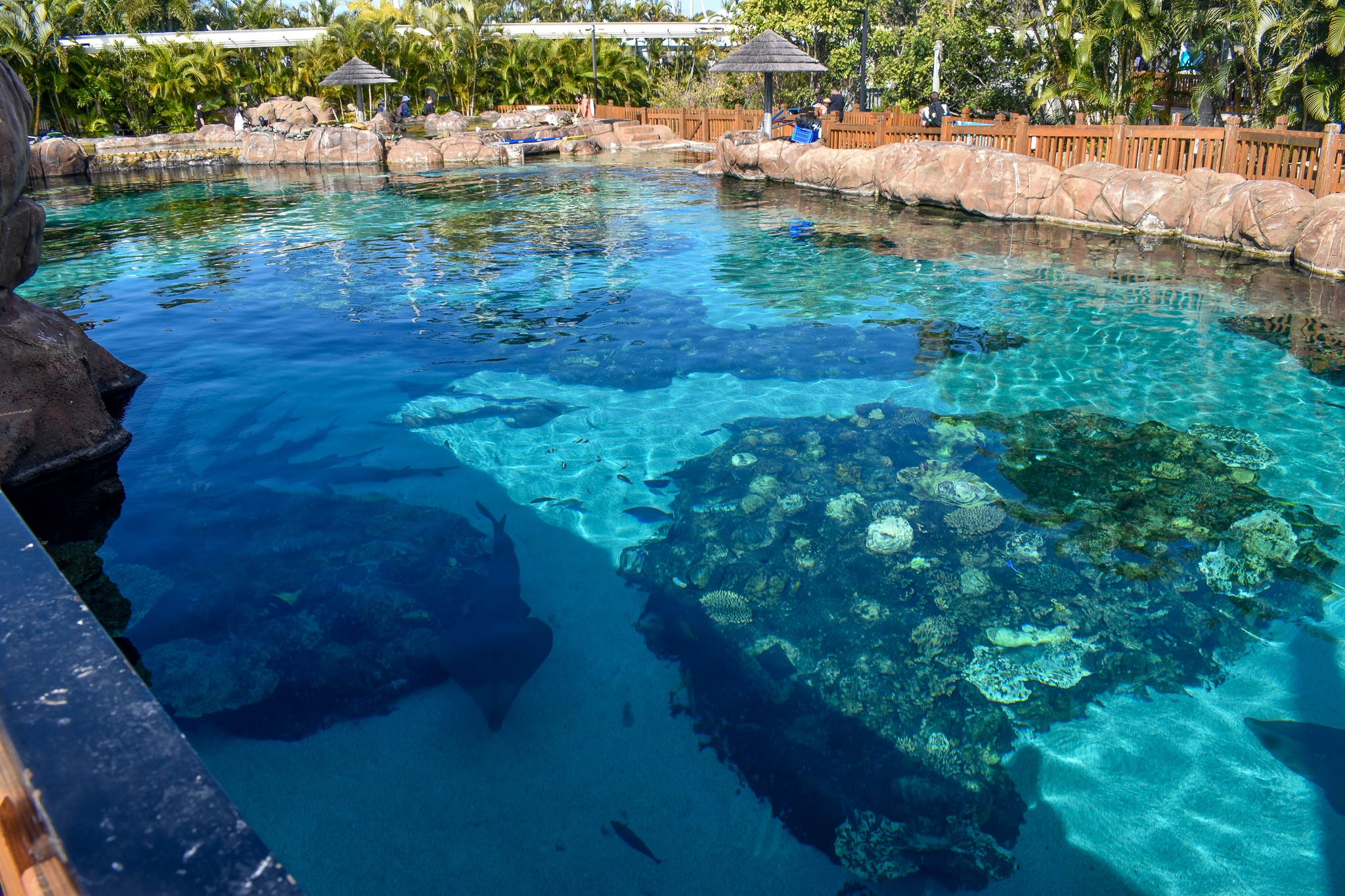 Shark Bay - Reef Lagoon