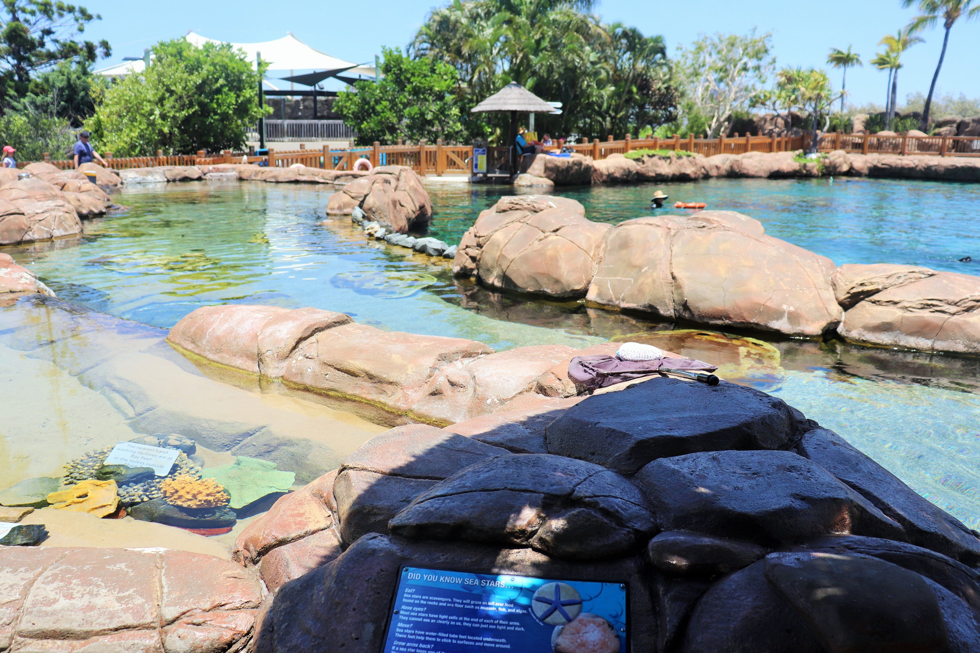 Shark Bay - Rock Pools
