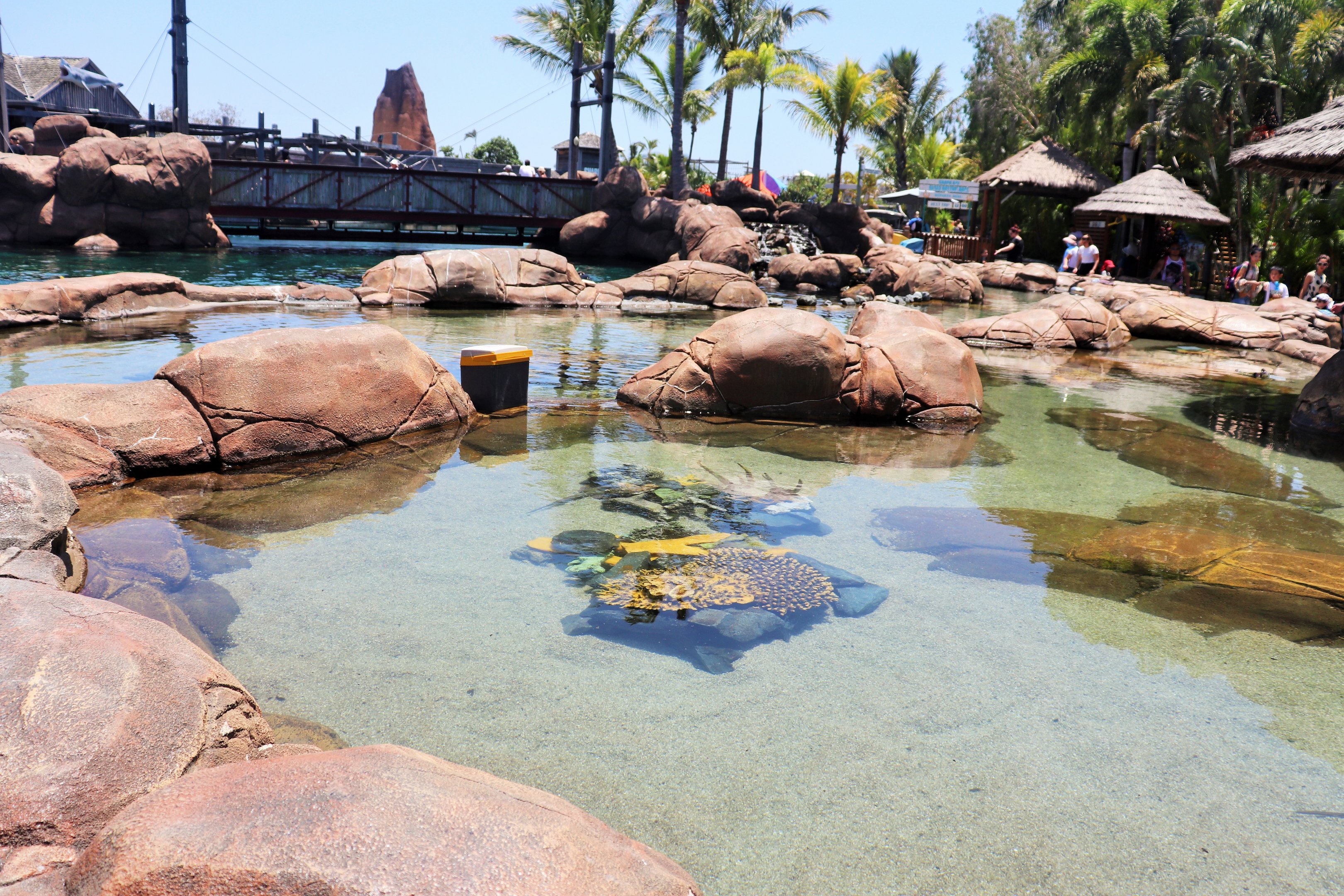 Shark Bay - Rock Pools