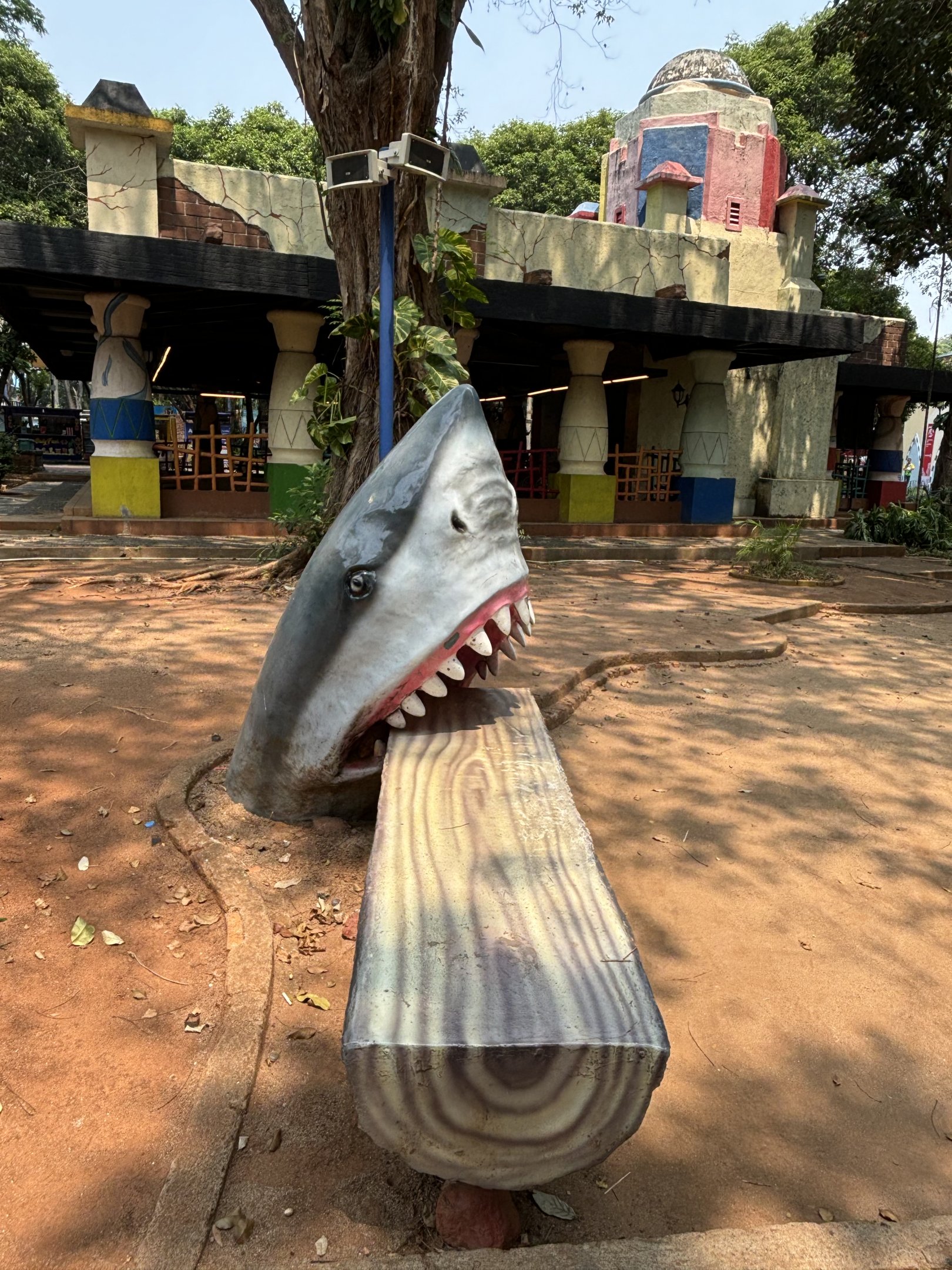Shark Bench