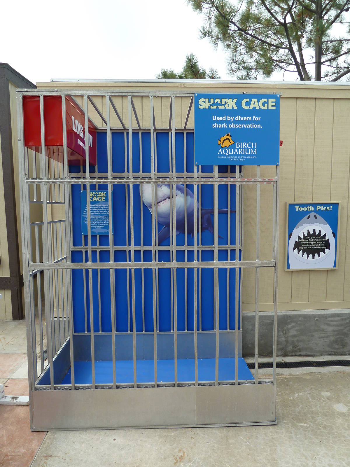 Shark Cage