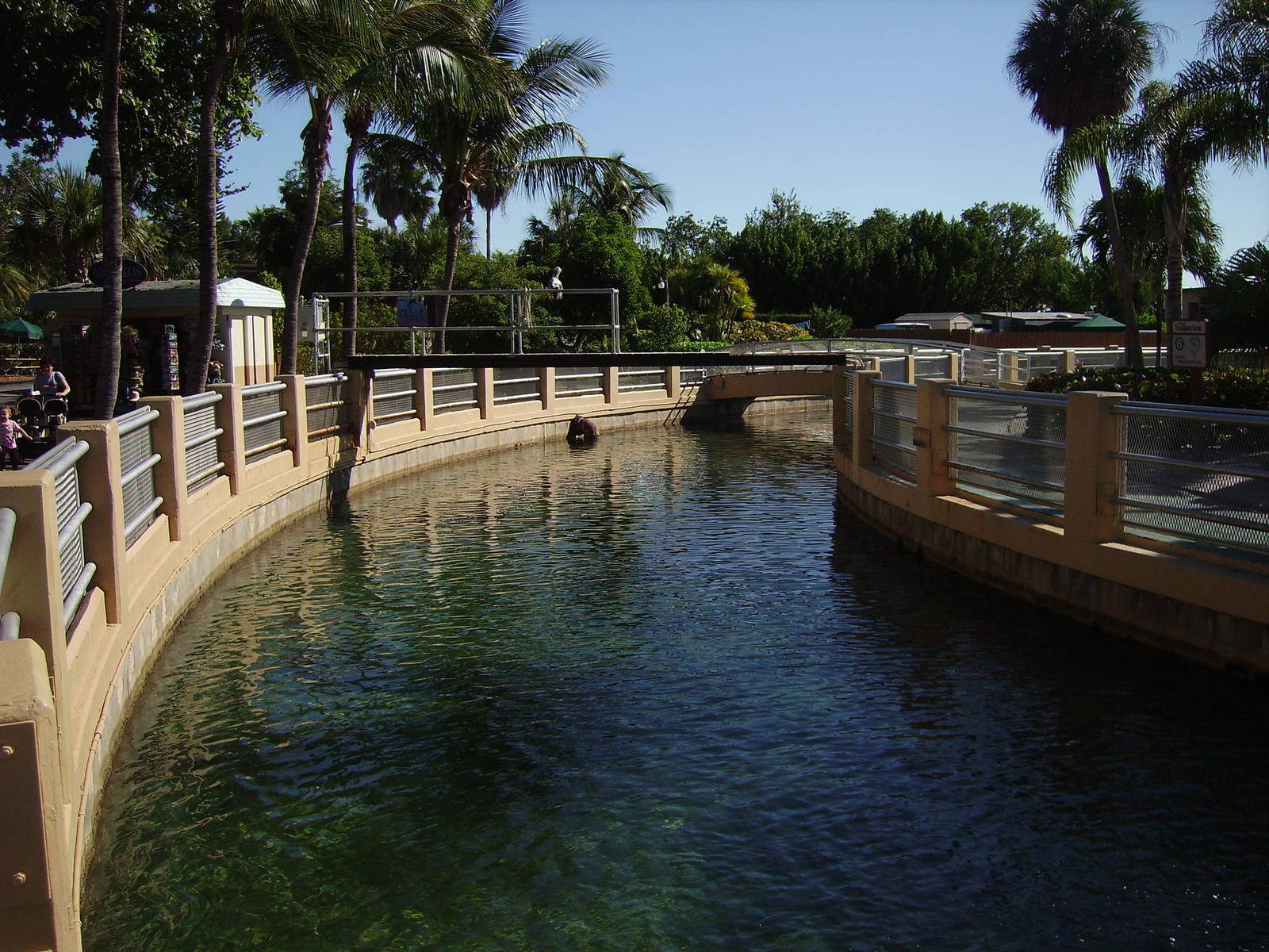 Shark Channel - Miami Seaquarium