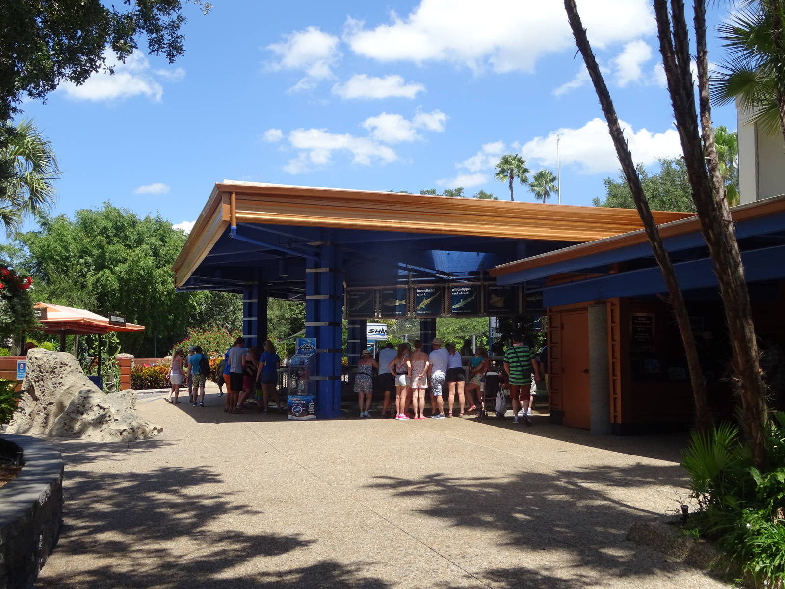 Shark Encounter at SeaWorld Orlando