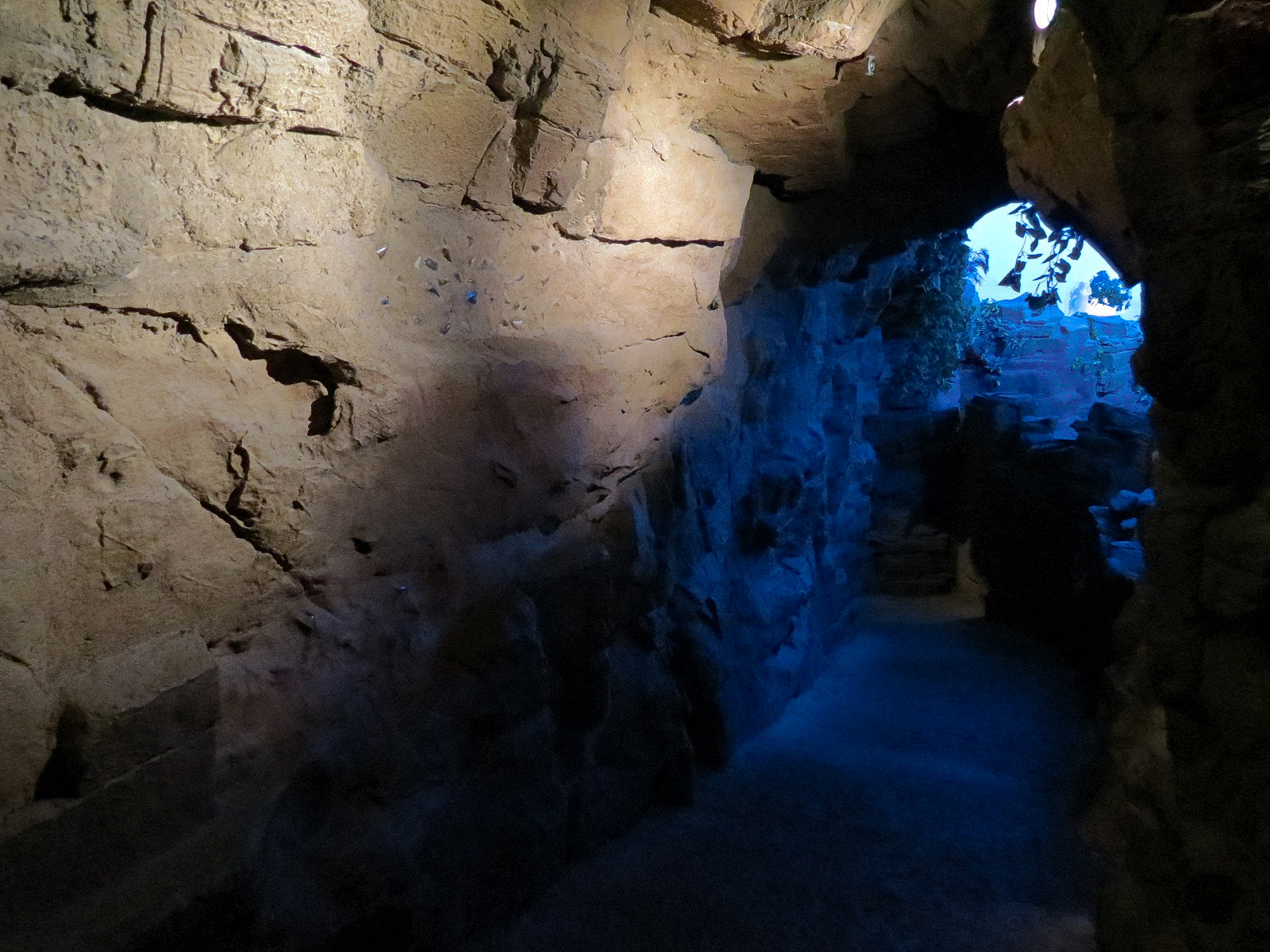 Shark Encounter - Cave Path to Underwater Tunnel