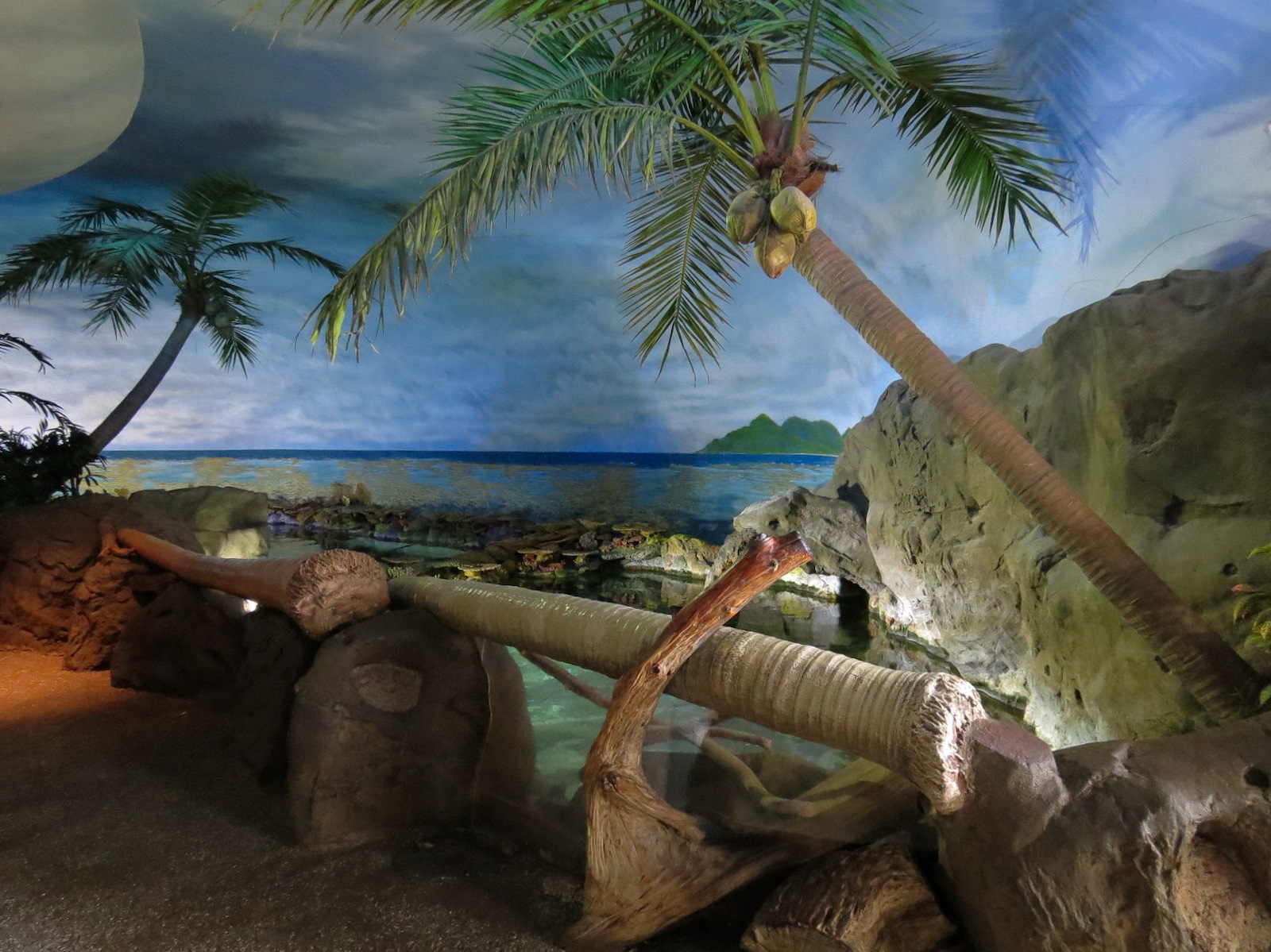 Shark Encounter - Exhibit 1