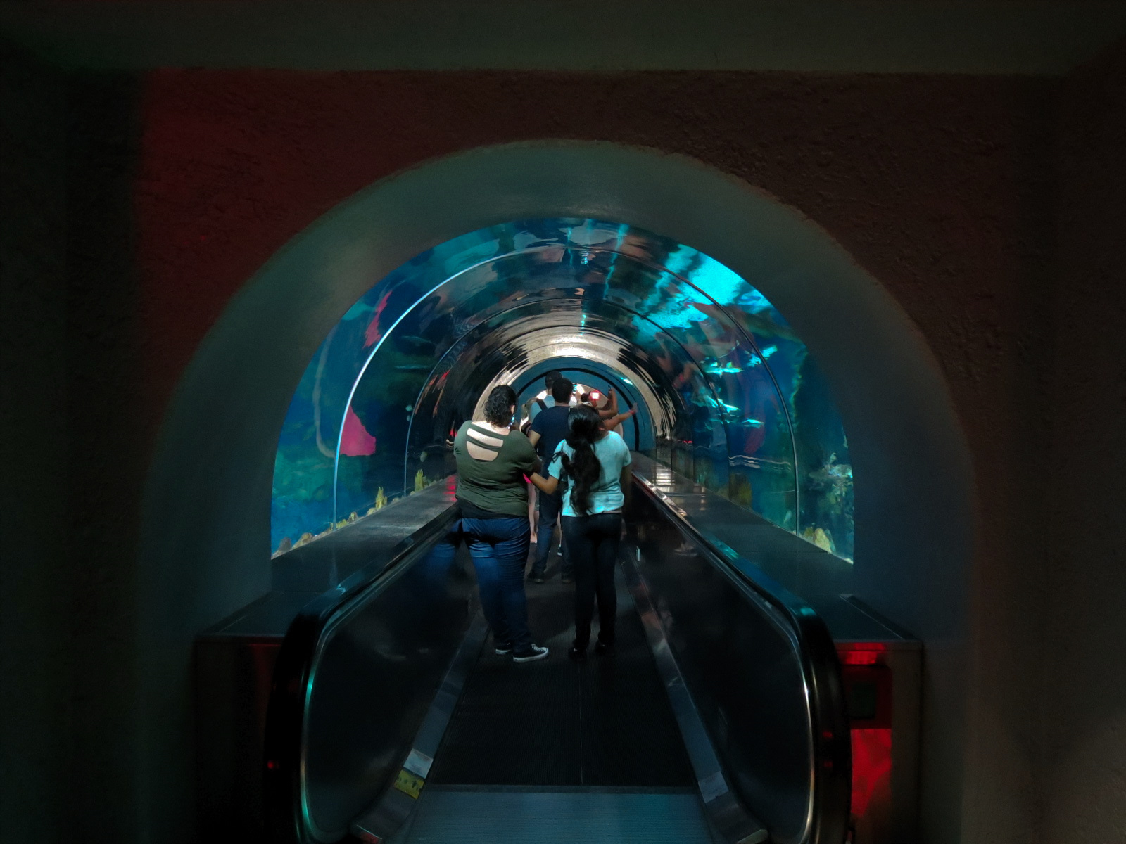 Shark Encounter - Exhibit 2 Underwater Tunnel