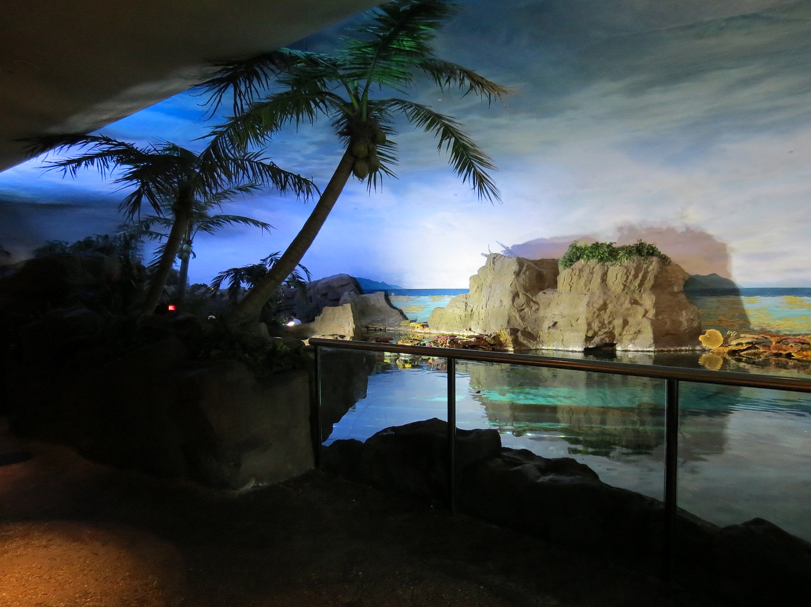 Shark Encounter - Exhibit 2