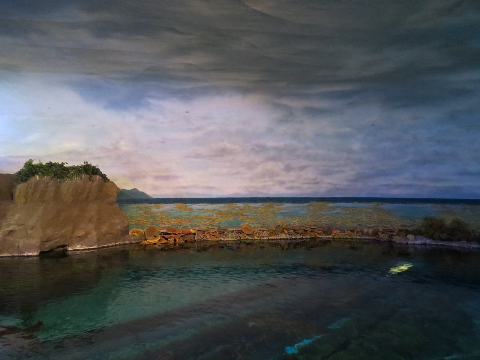 Shark Encounter - Exhibit 2