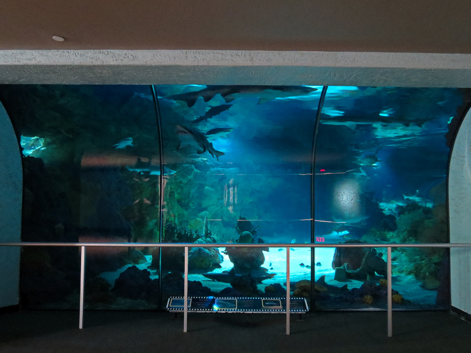 Shark Encounter - Exhibit 2