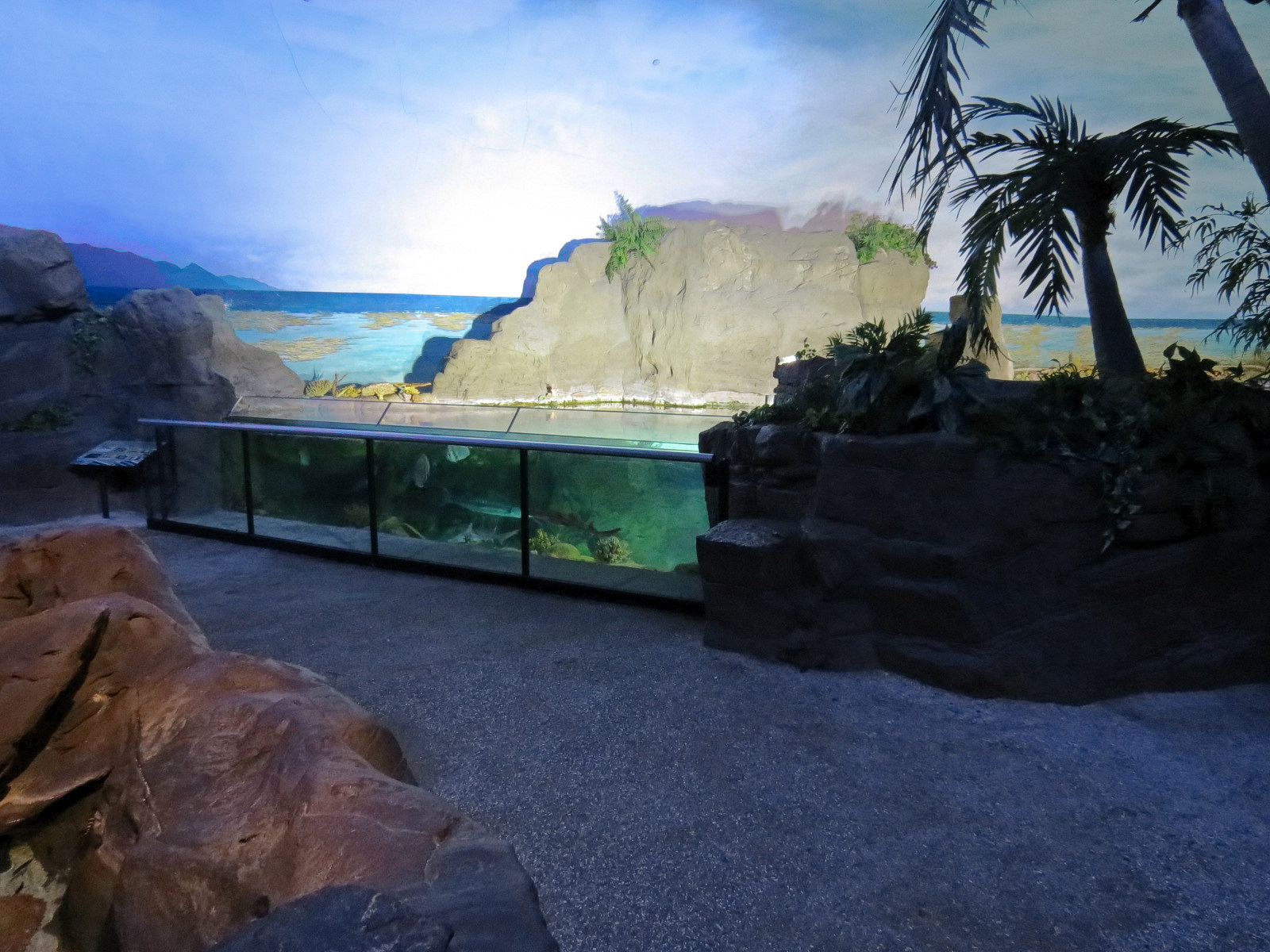 Shark Encounter - Exhibit 3