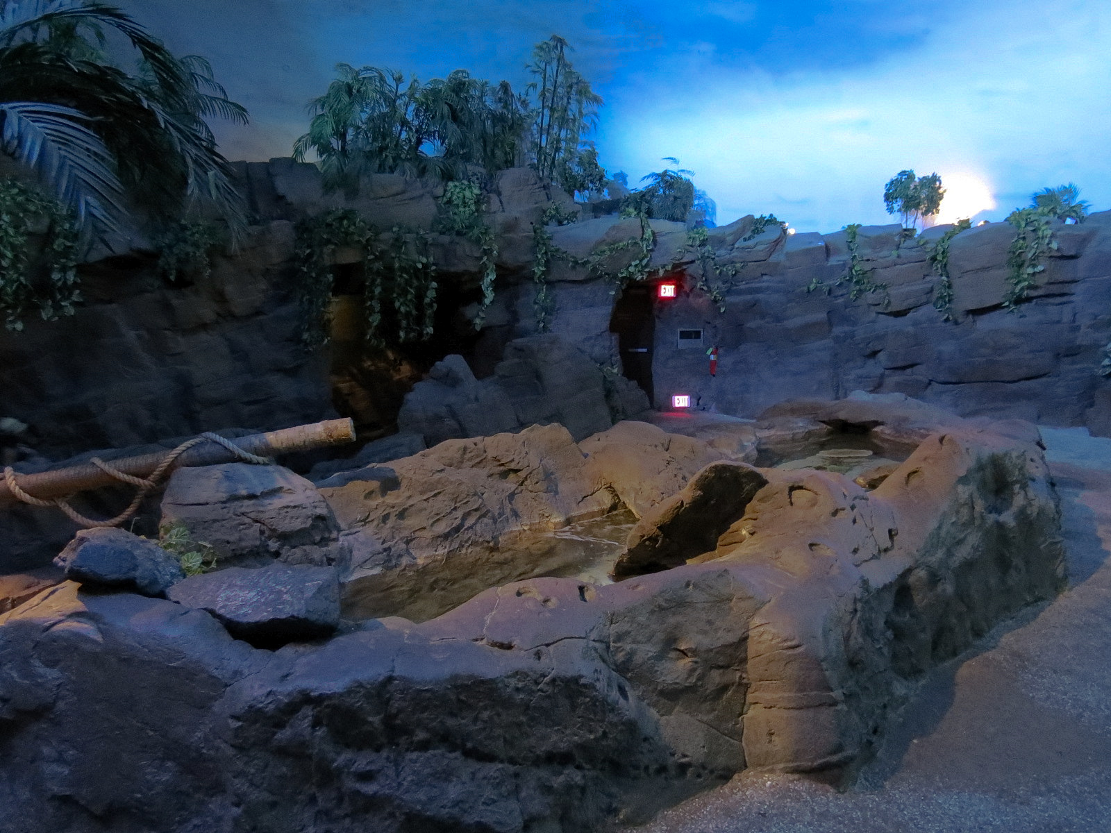 Shark Encounter - Exhibit 4