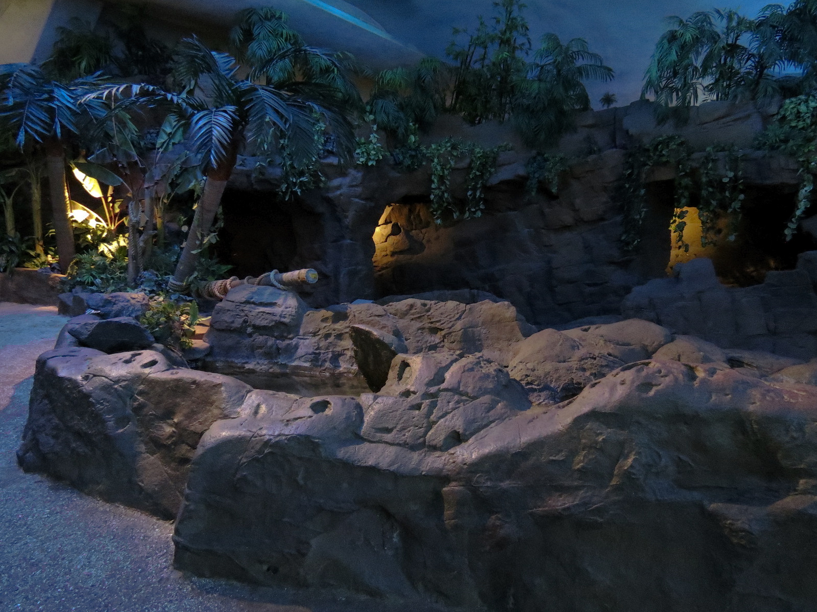 Shark Encounter - Exhibit 4