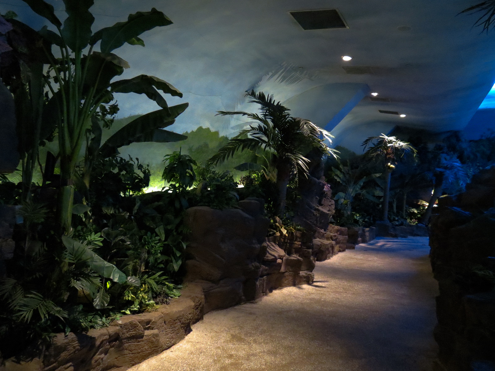 Shark Encounter - Exhibit Path