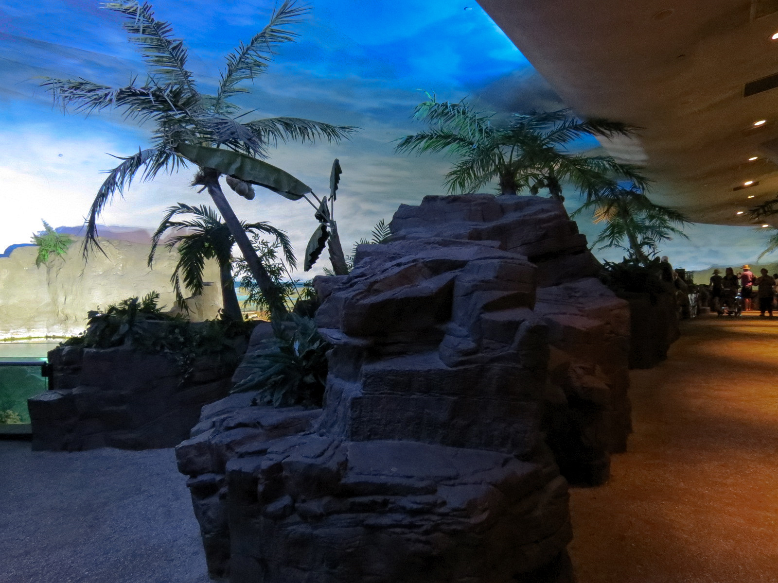 Shark Encounter - Exhibit Path