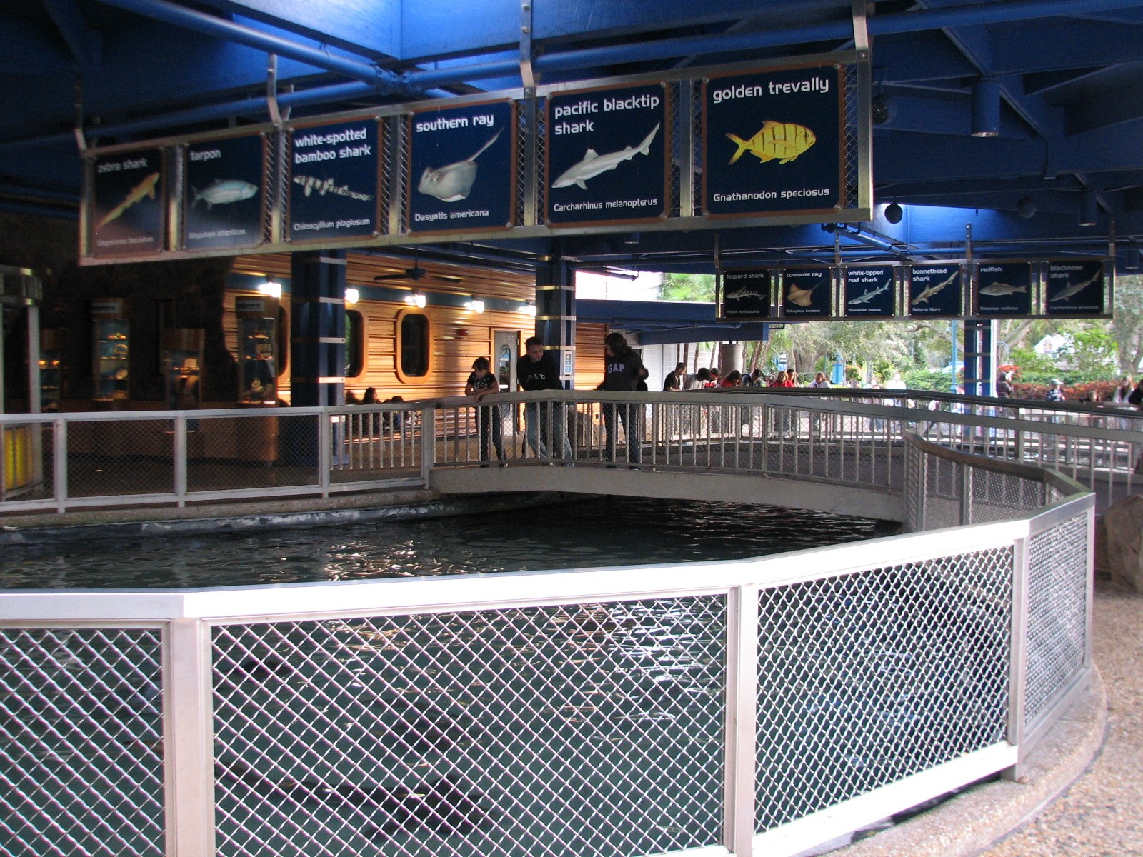 Shark Encounter - Outdoor Exhibit