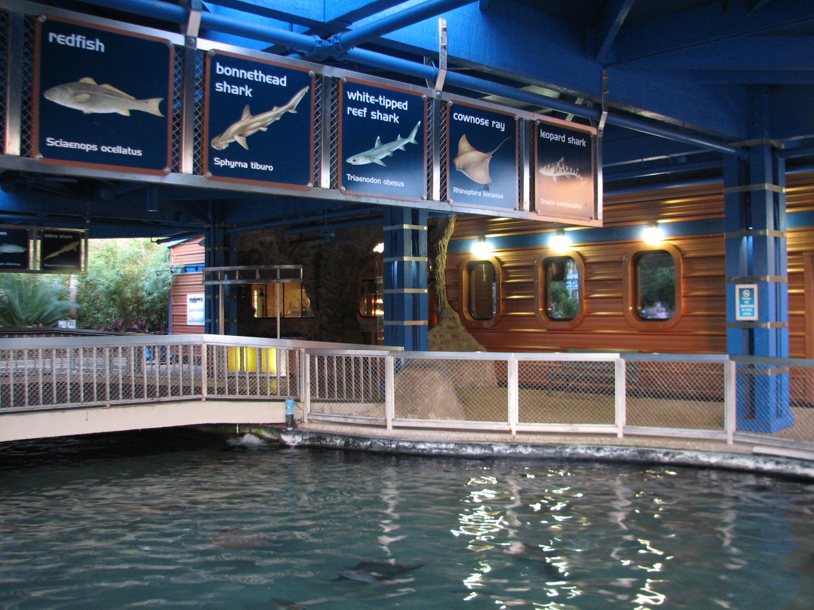 Shark Encounter - Outdoor Exhibit