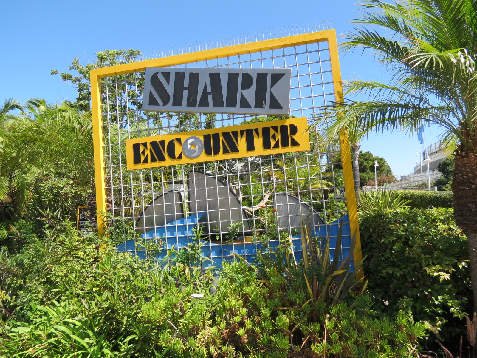 Shark Encounter - Sign