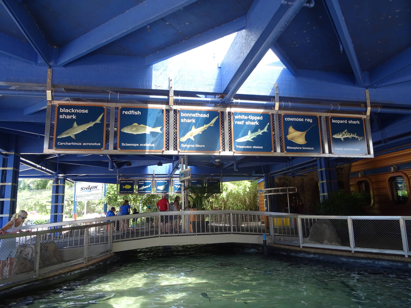 Shark Encounter Signage at SeaWorld Orlando