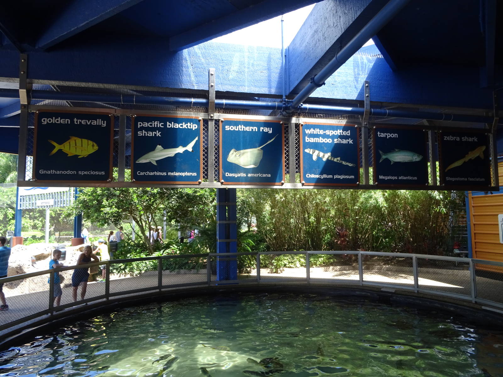 Shark Encounter Signage at SeaWorld Orlando