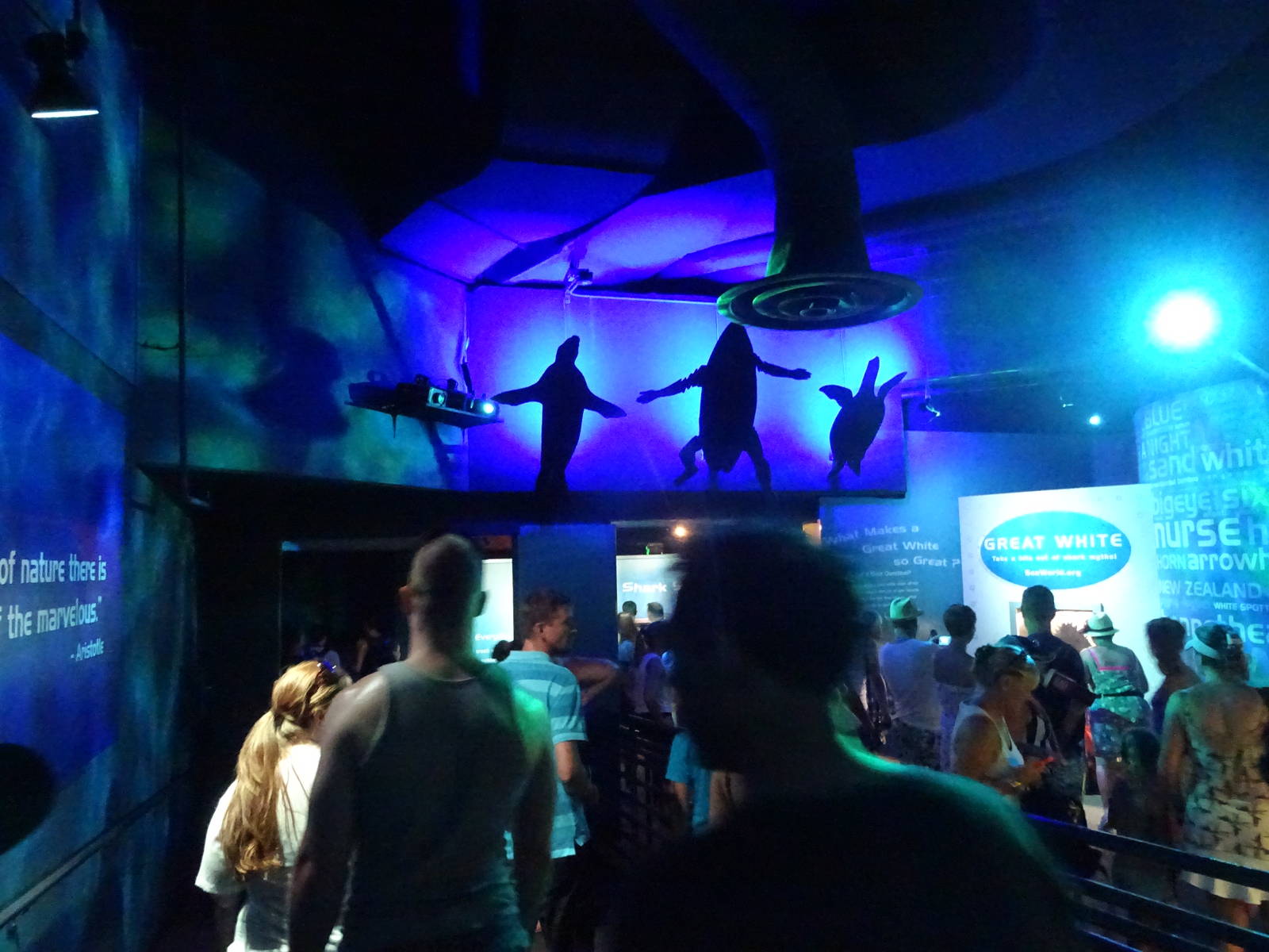 Shark Encounter Signage at SeaWorld Orlando